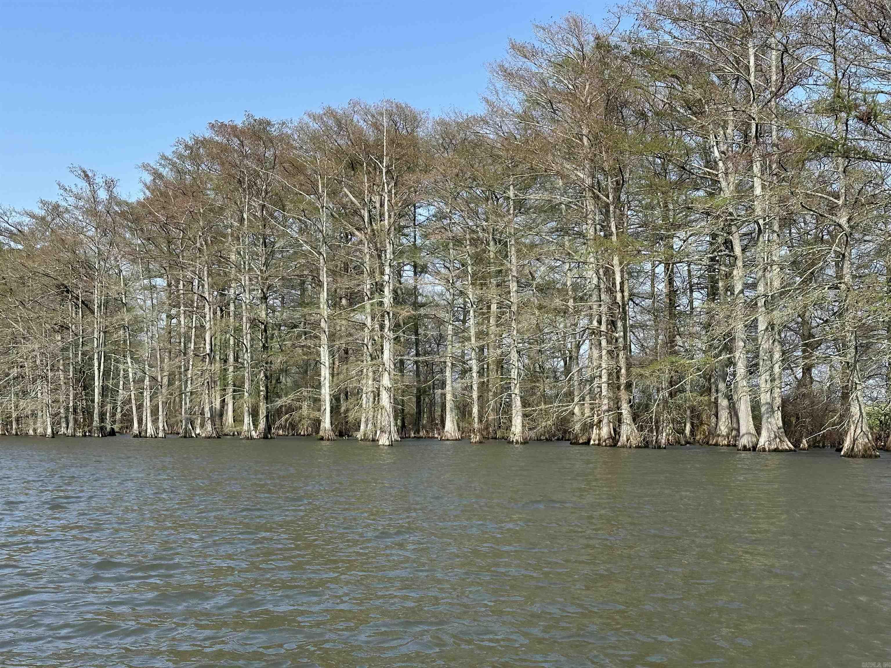 849 Hwy 212  Dumas, AR