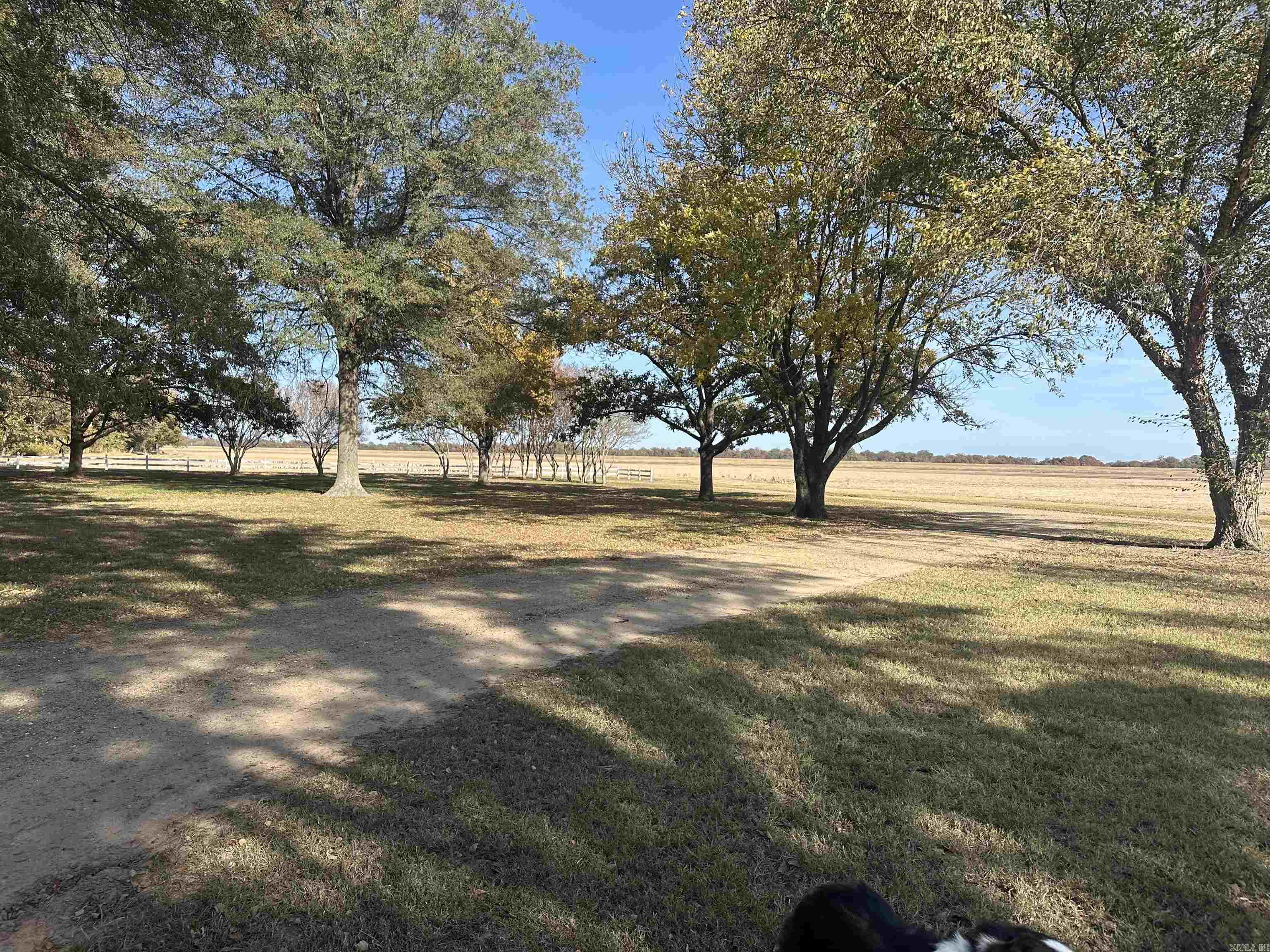 849 Hwy 212  Dumas, AR