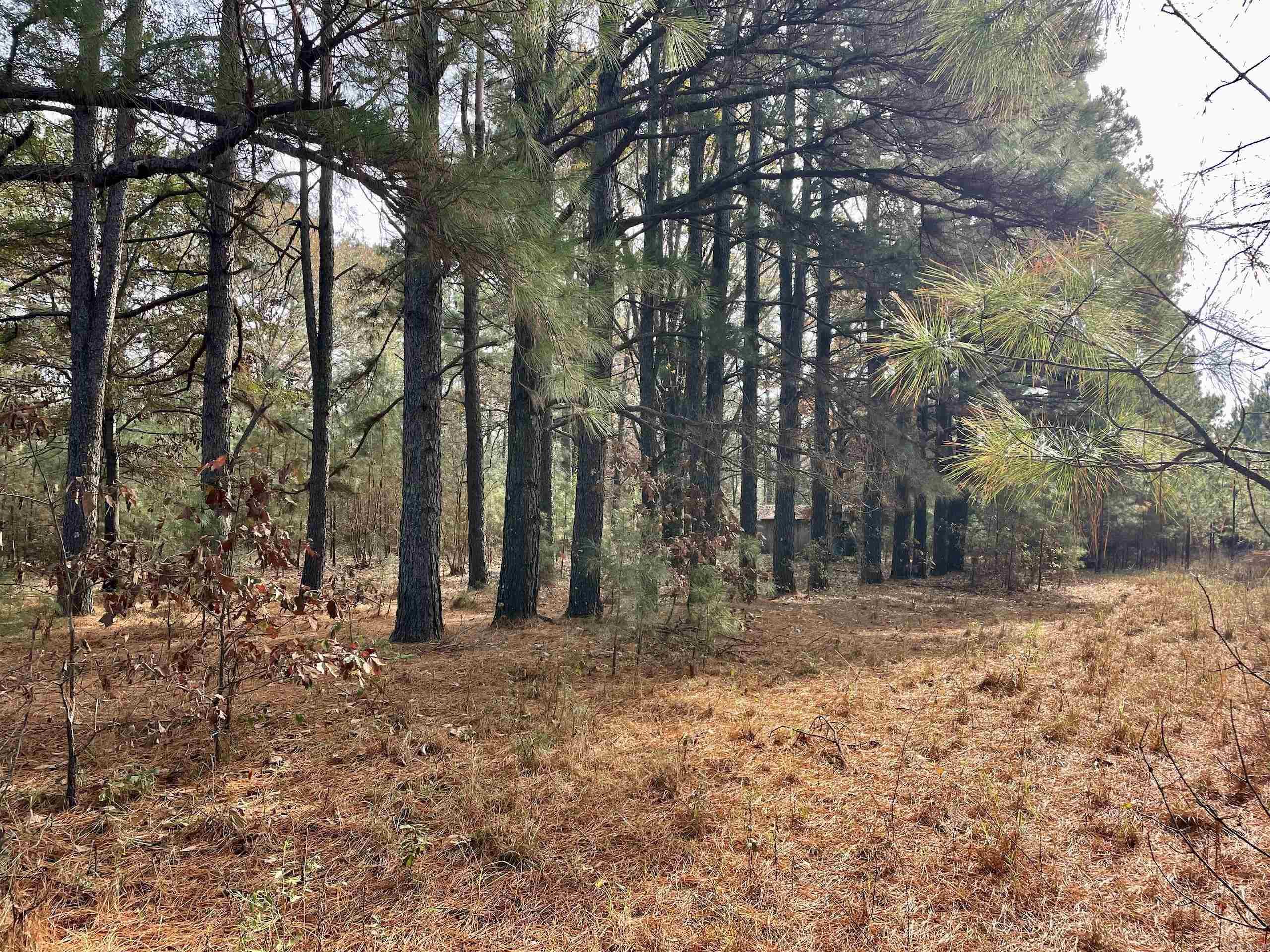 000 S Waller Rd  Bald Knob, AR