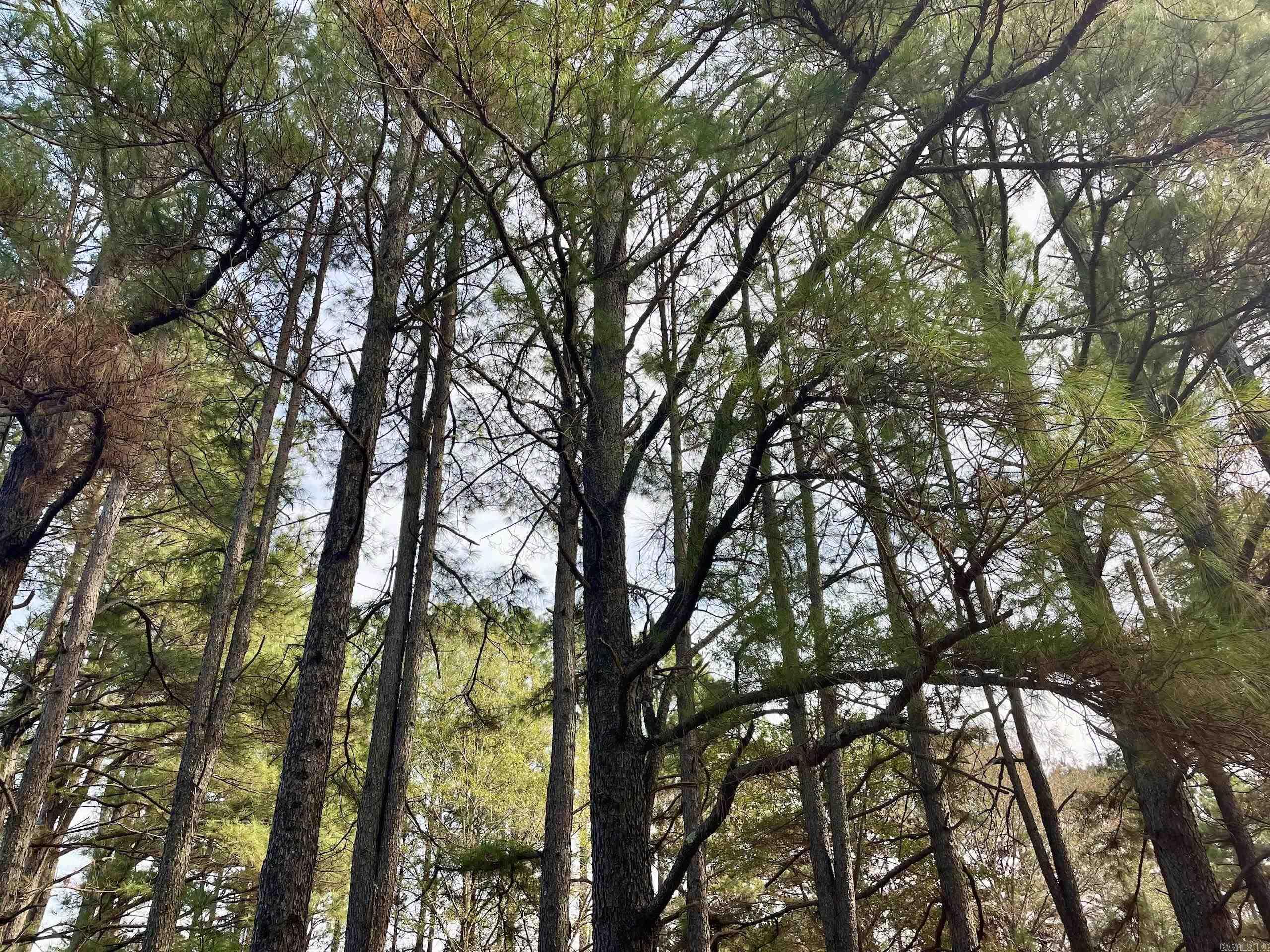 000 S Waller Rd  Bald Knob, AR