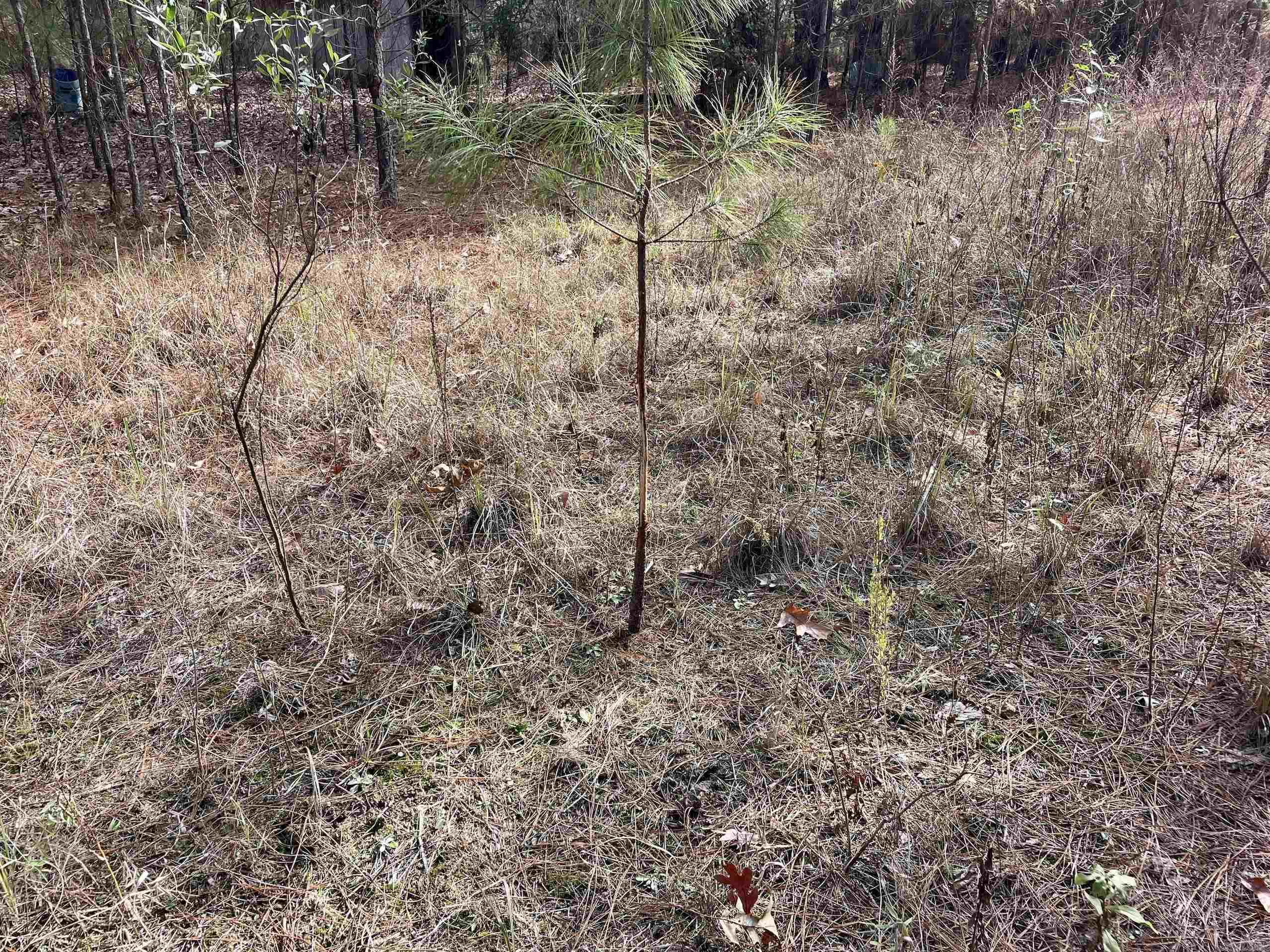 000 S Waller Rd  Bald Knob, AR