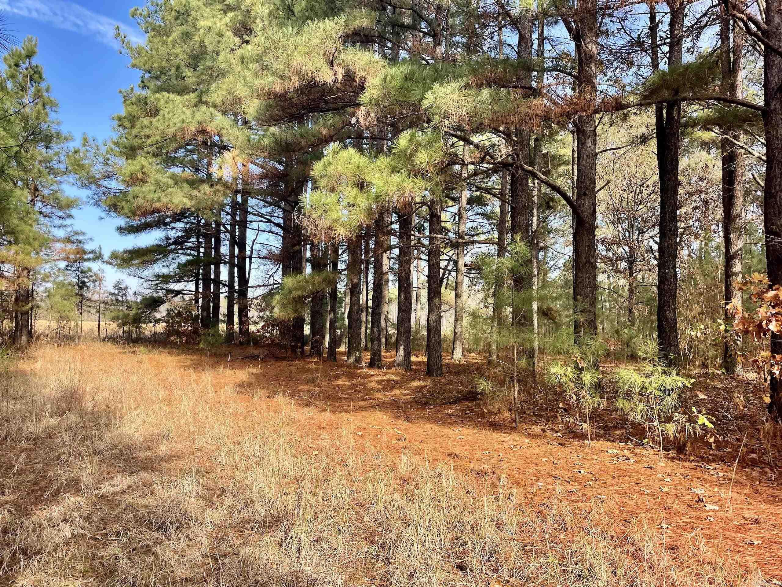 000 S Waller Rd  Bald Knob, AR