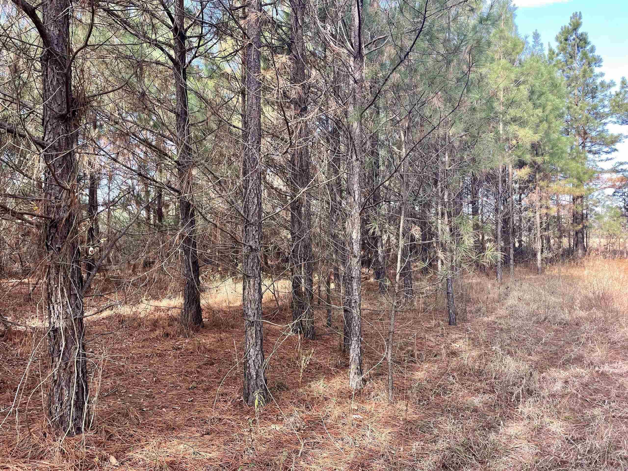 000 S Waller Rd  Bald Knob, AR