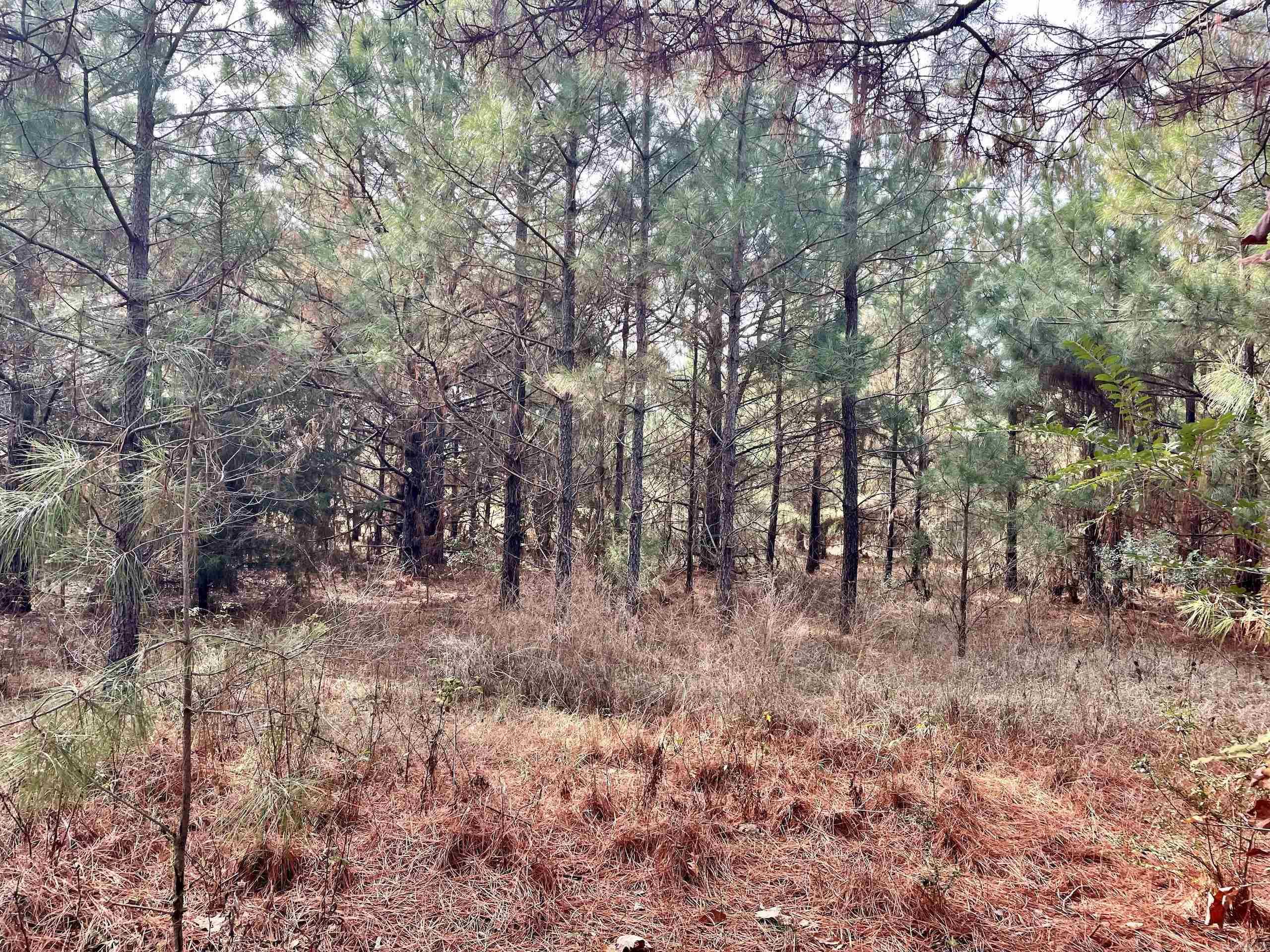 000 S Waller Rd  Bald Knob, AR