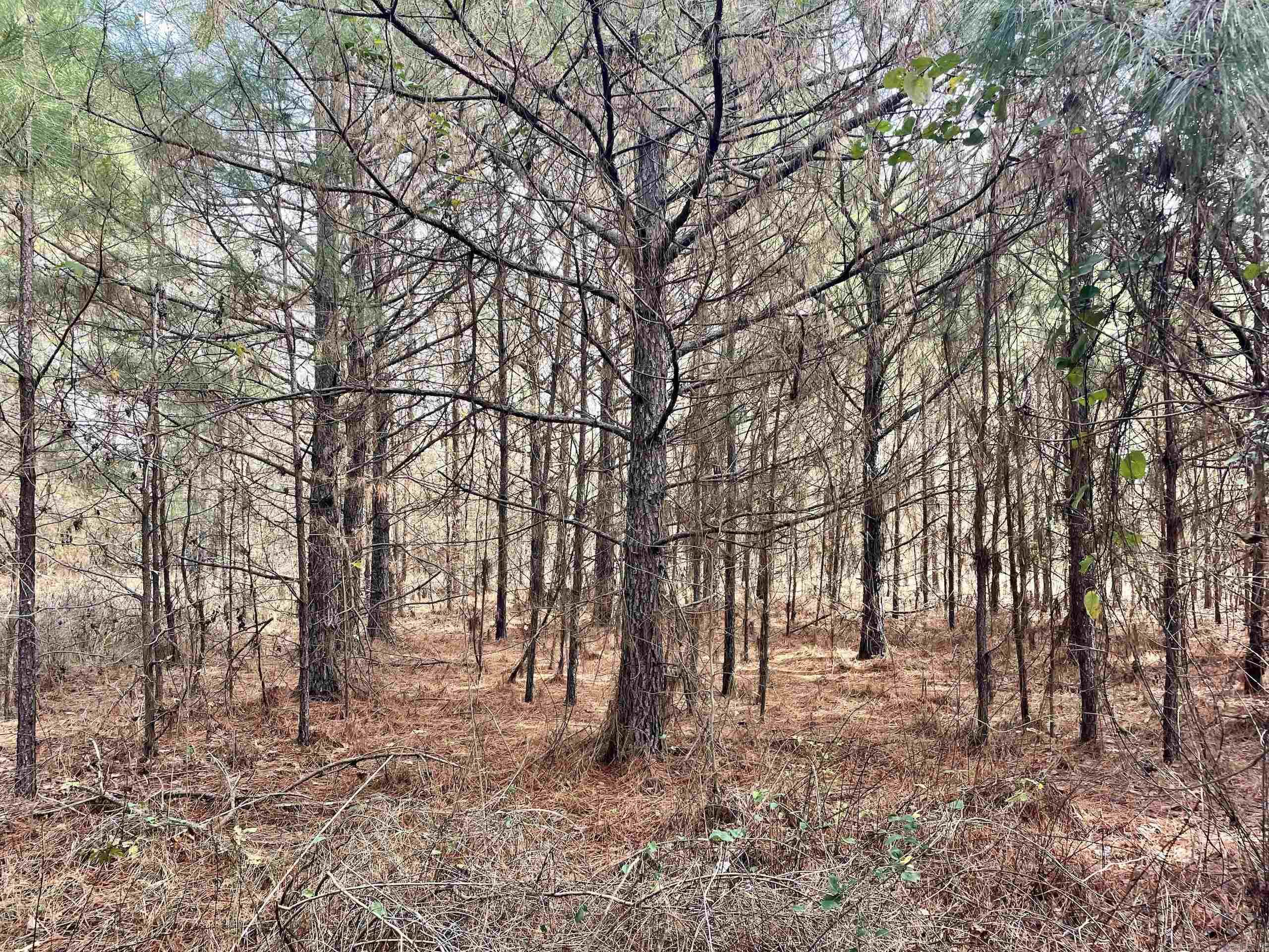 000 S Waller Rd  Bald Knob, AR