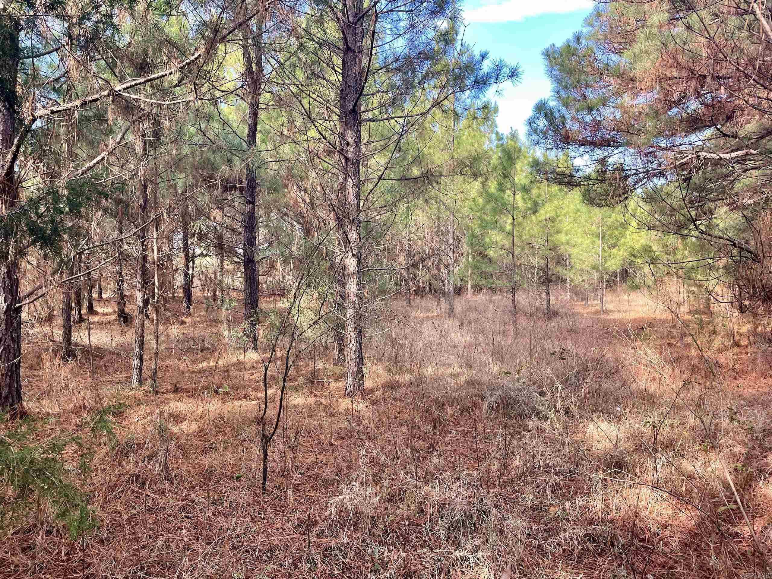 000 S Waller Rd  Bald Knob, AR