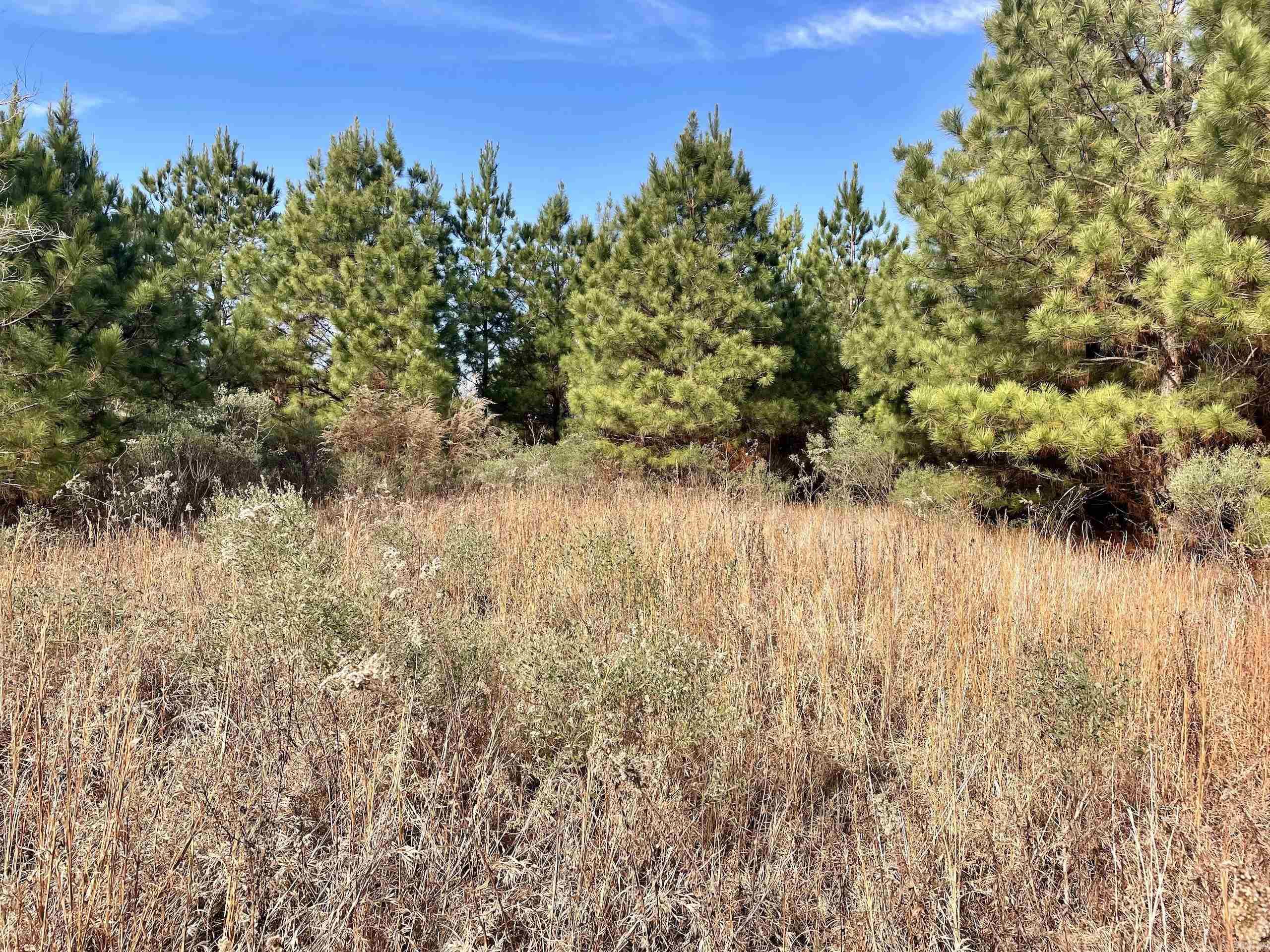 000 S Waller Rd  Bald Knob, AR