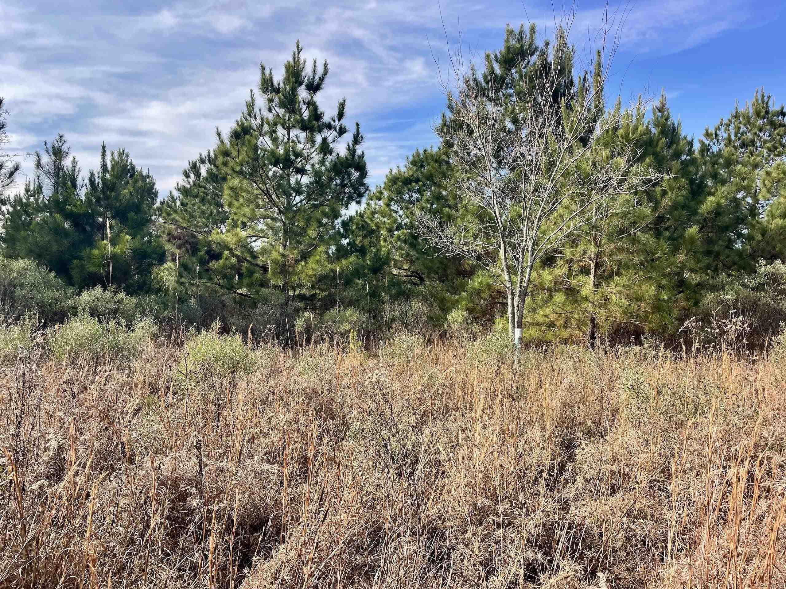 000 S Waller Rd  Bald Knob, AR