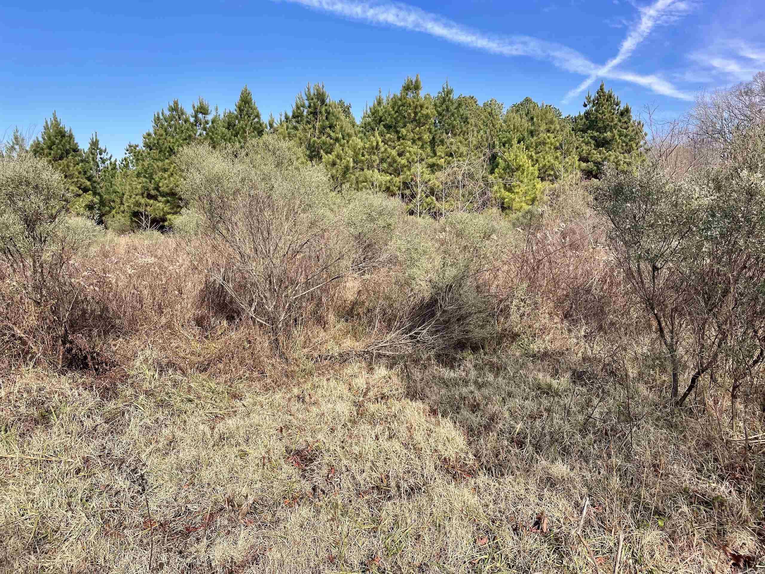 000 S Waller Rd  Bald Knob, AR