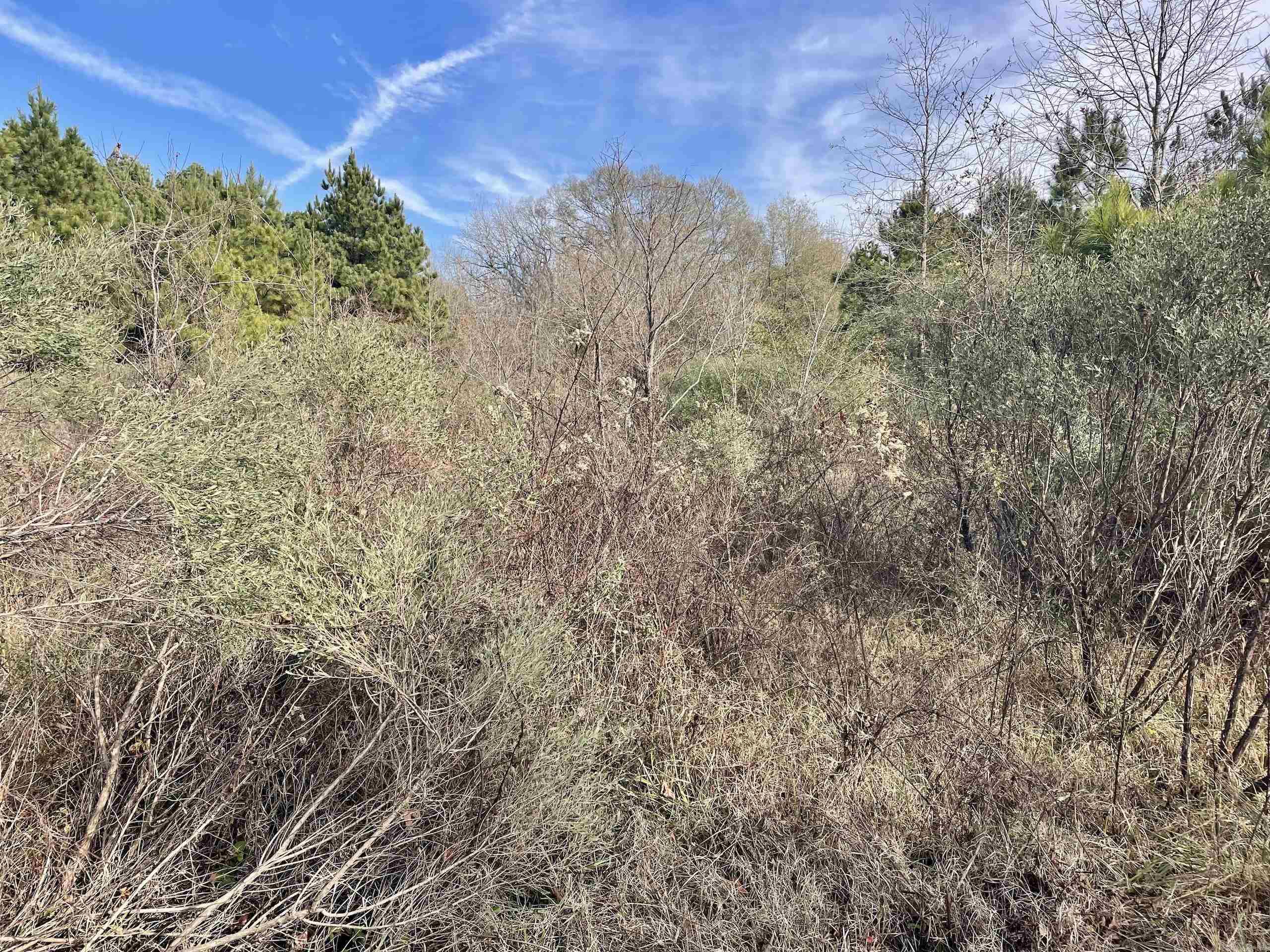 000 S Waller Rd  Bald Knob, AR