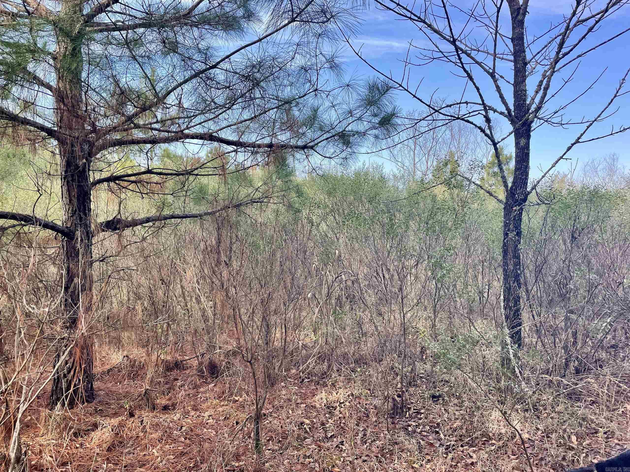 000 S Waller Rd  Bald Knob, AR