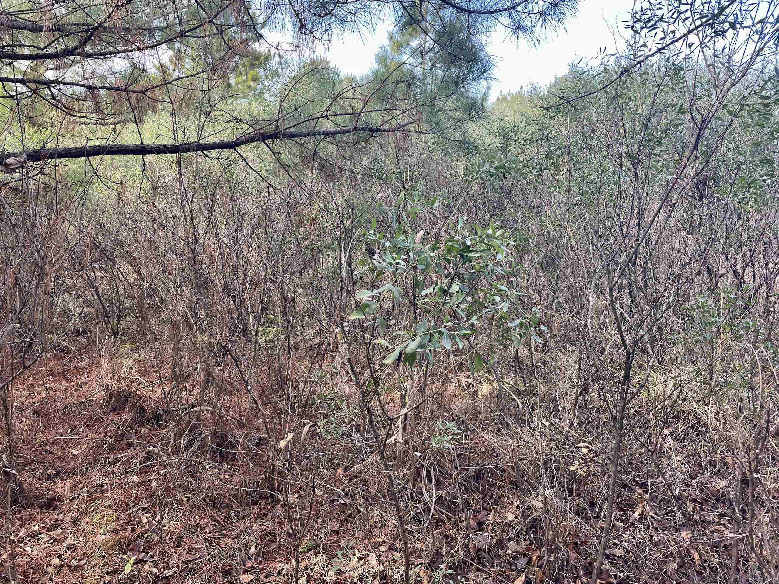 000 S Waller Rd  Bald Knob, AR