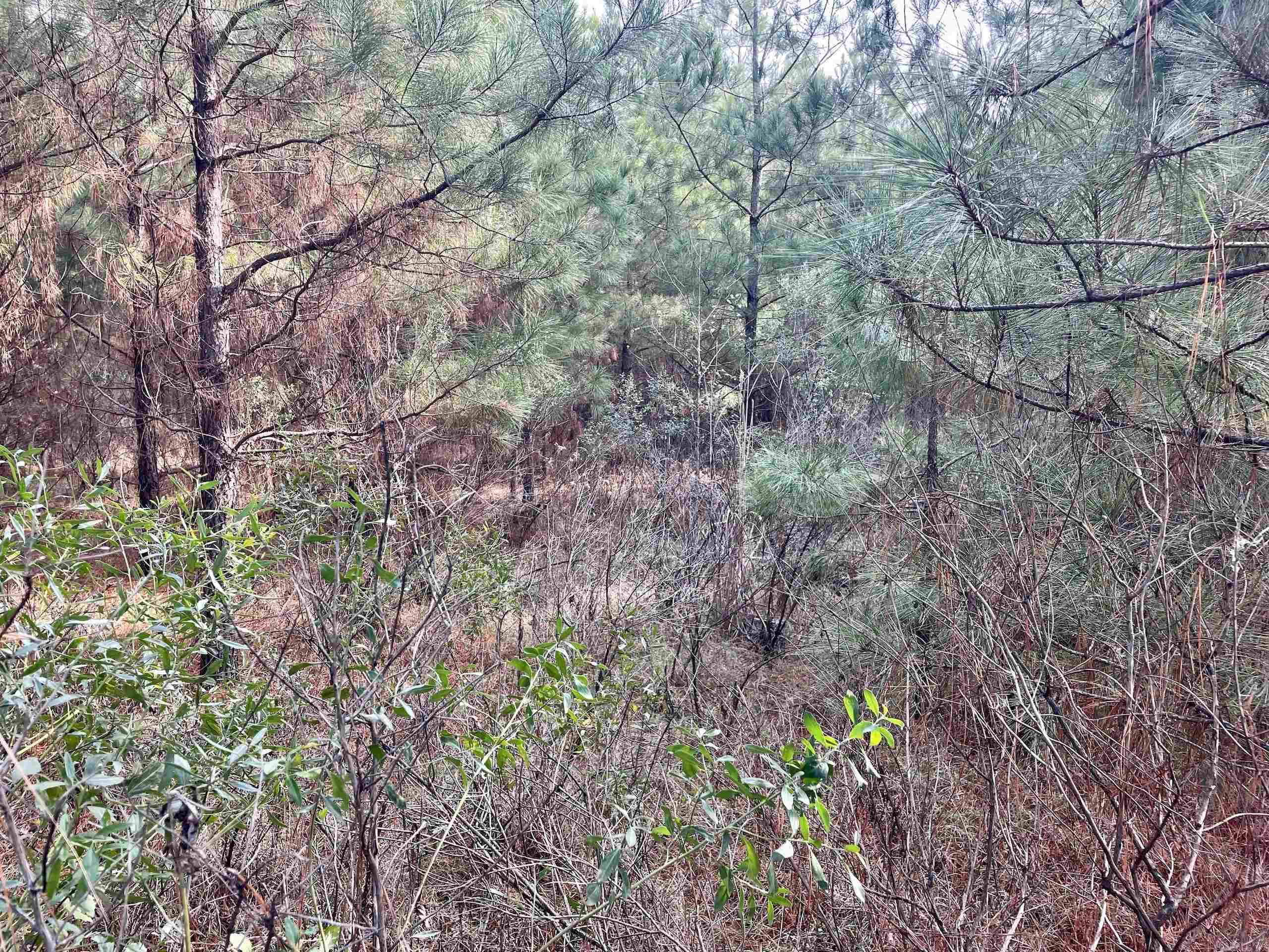 000 S Waller Rd  Bald Knob, AR