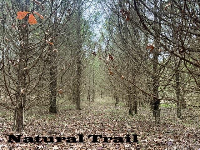 162 Janel  Romance, AR