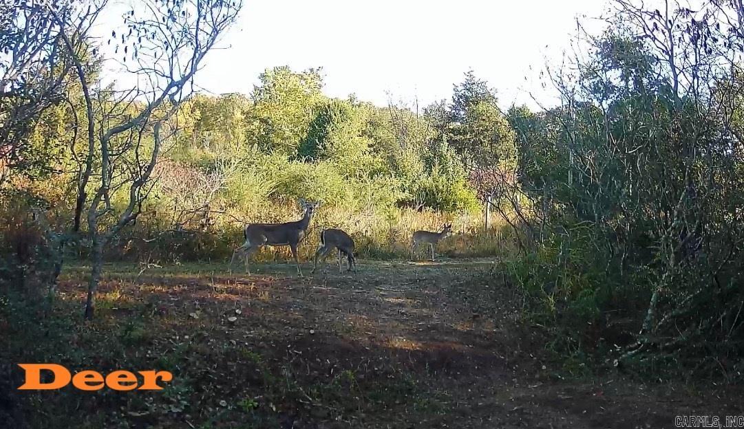 162 Janel  Romance, AR