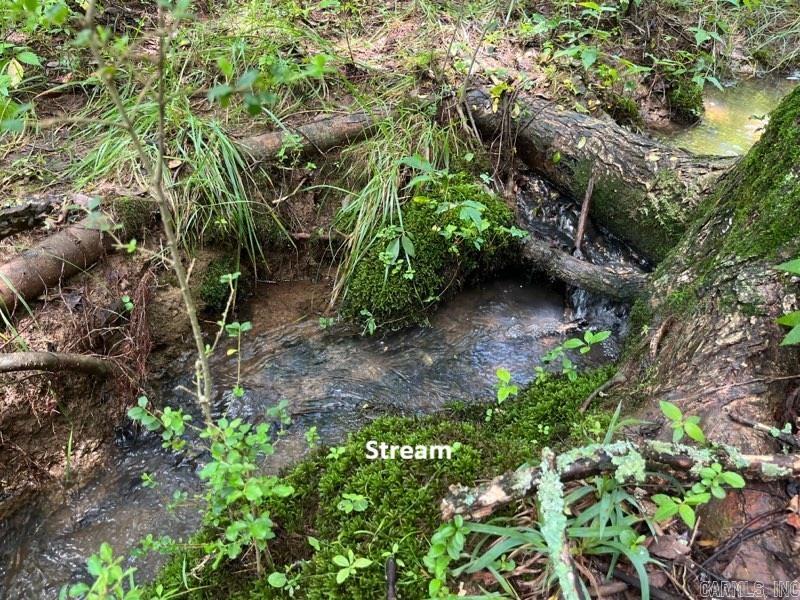 162 Janel  Romance, AR