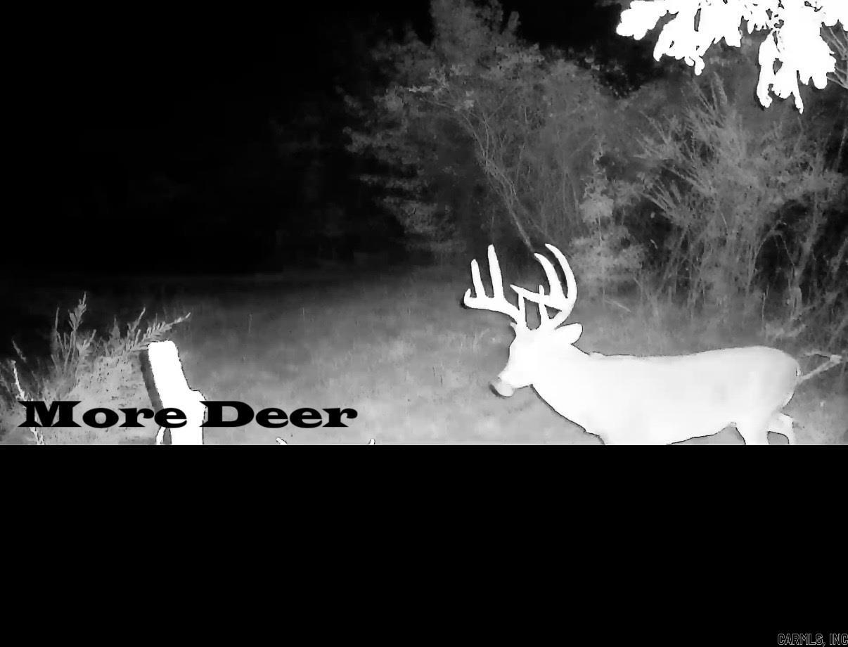 162 Janel  Romance, AR