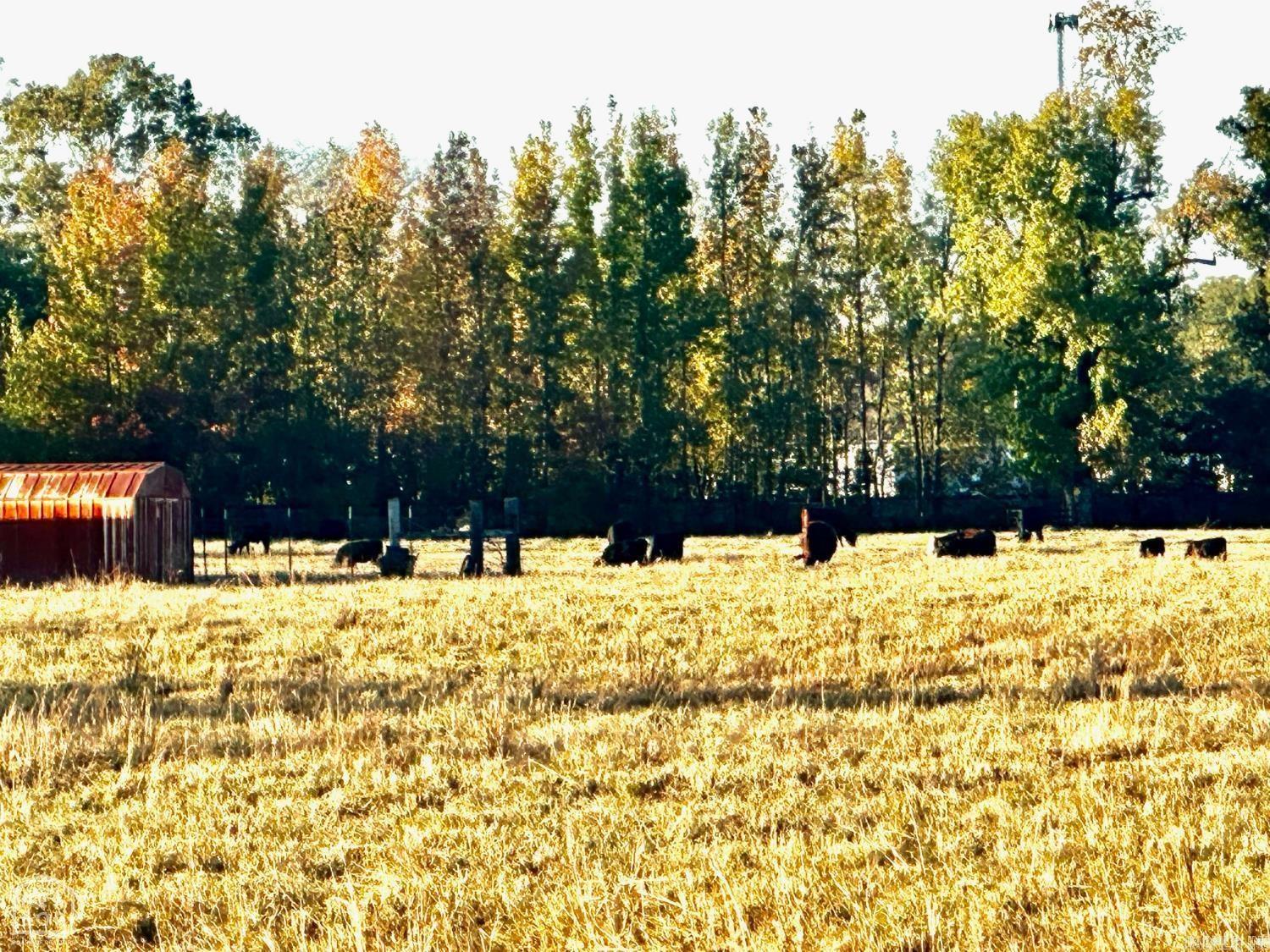 48 +/- Ac County Road 936  Brookland, AR