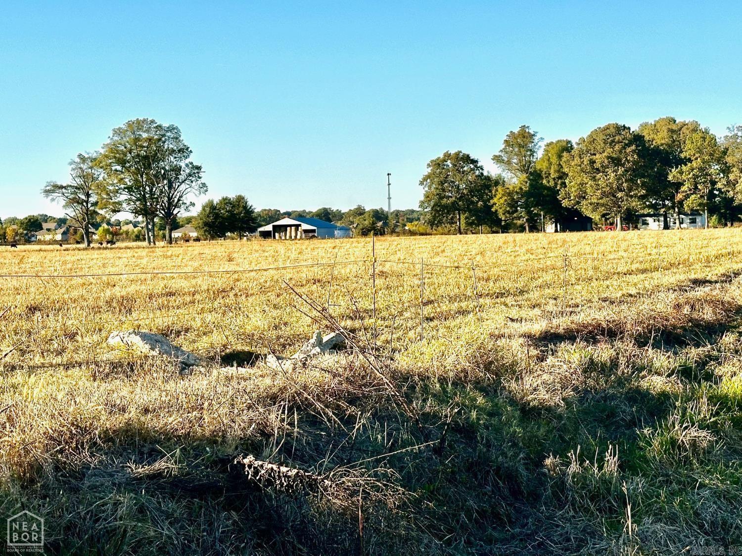 48 +/- Ac County Road 936  Brookland, AR