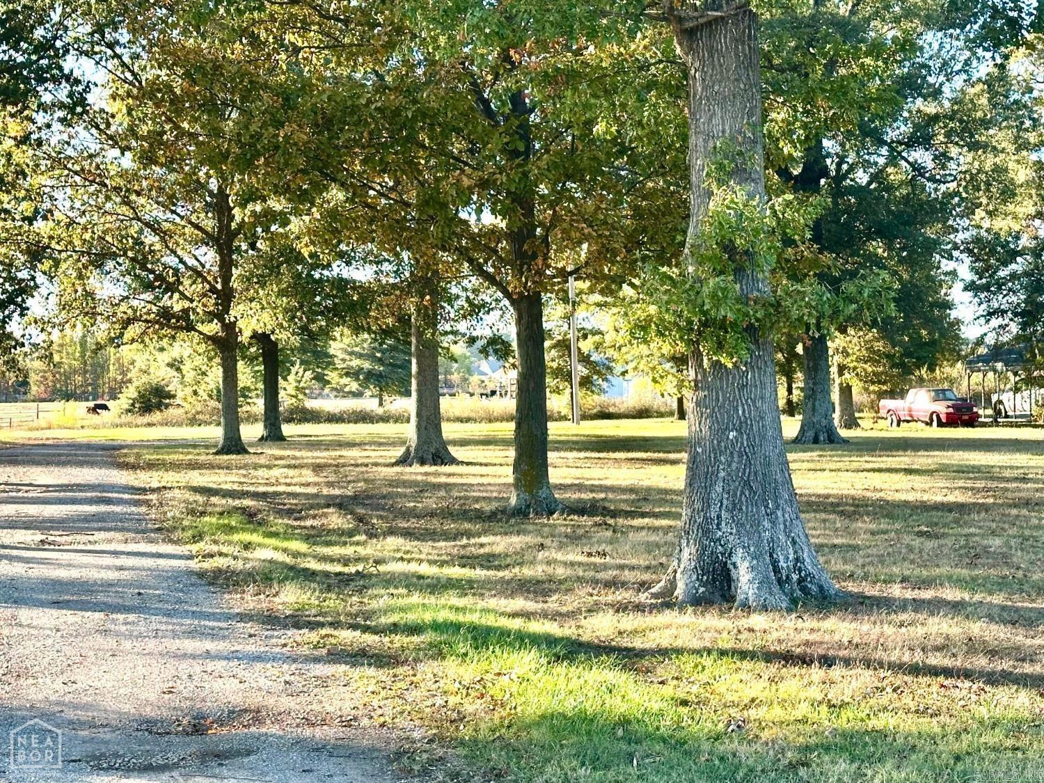 48 +/- Ac County Road 936  Brookland, AR