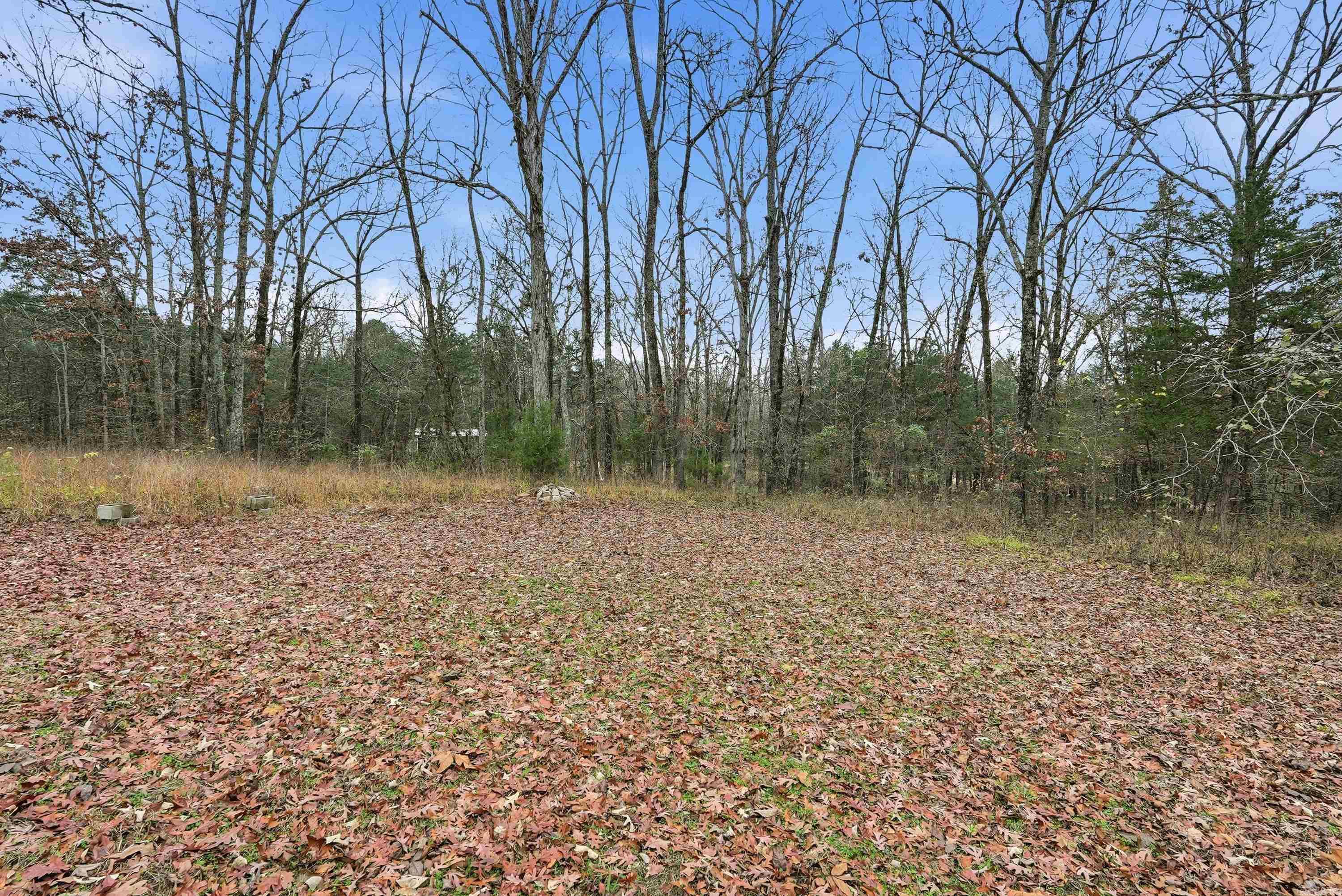 86 Cedar Ridge  Plumerville, AR