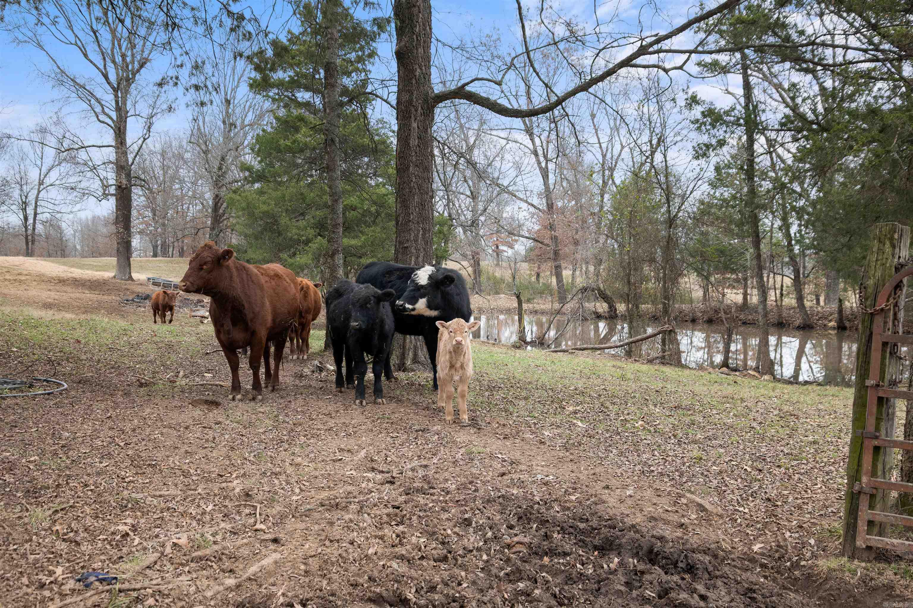 607 Lawrence Road 210  Black Rock, AR