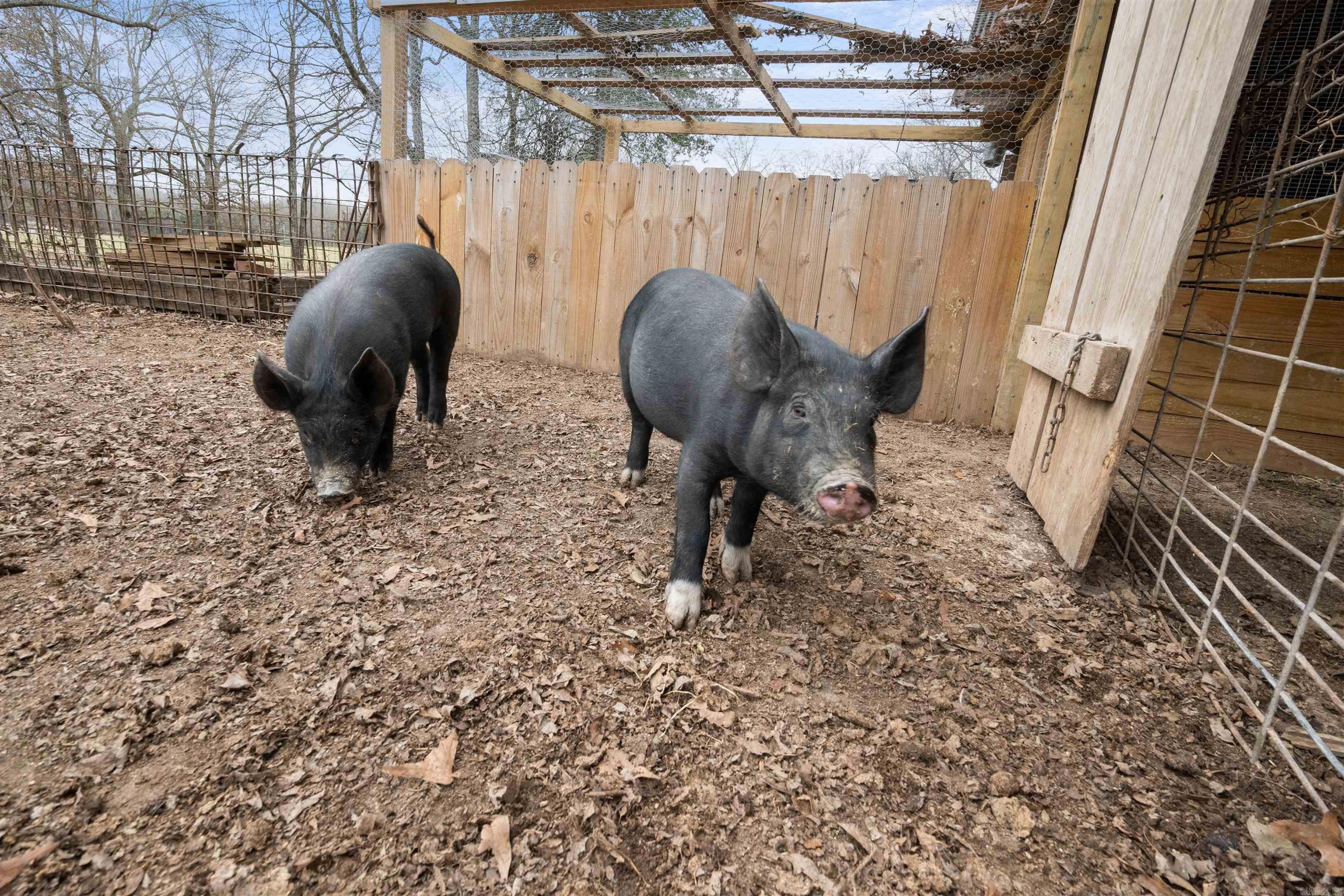 607 Lawrence Road 210  Black Rock, AR