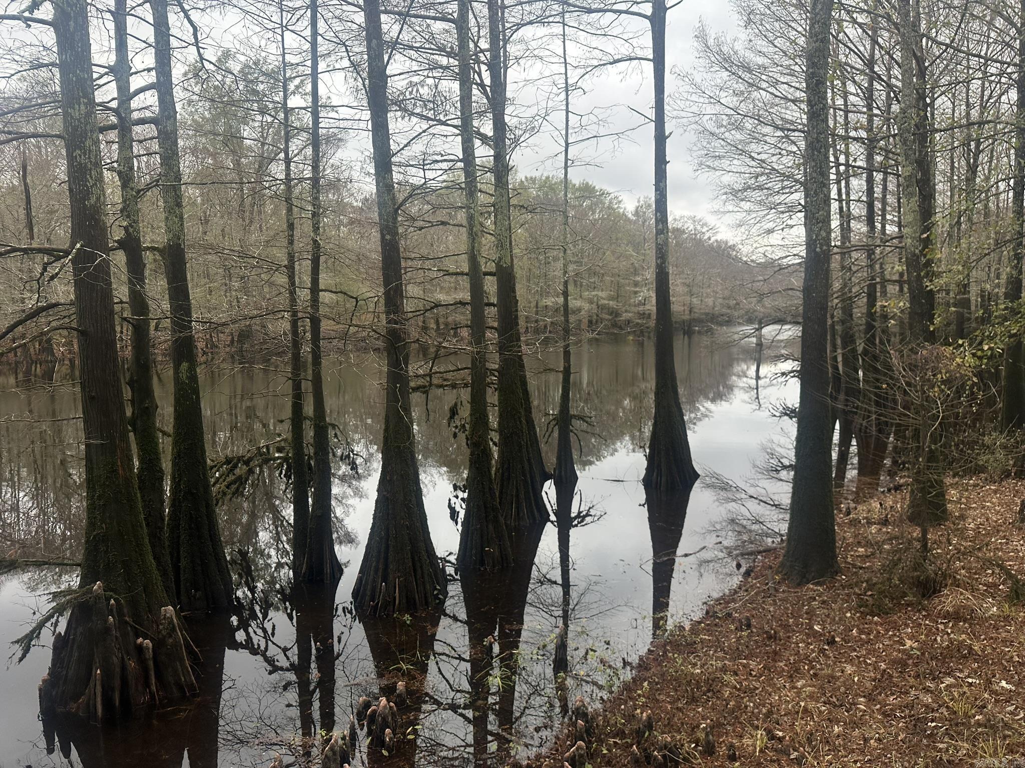 4878 Calhoun 245  Hampton, AR