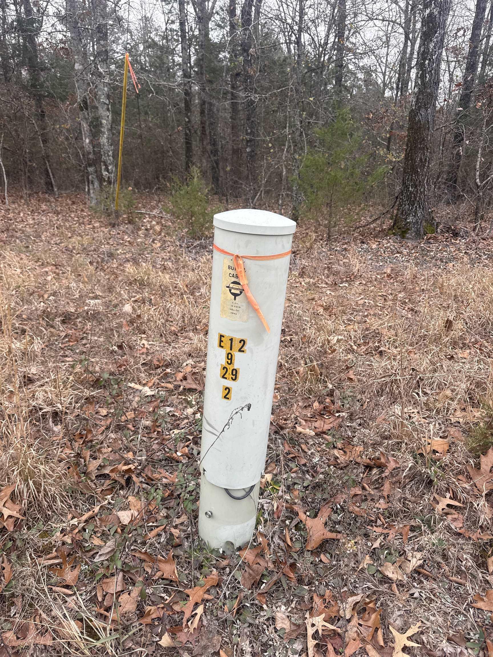 4 Quachita  Quitman, AR