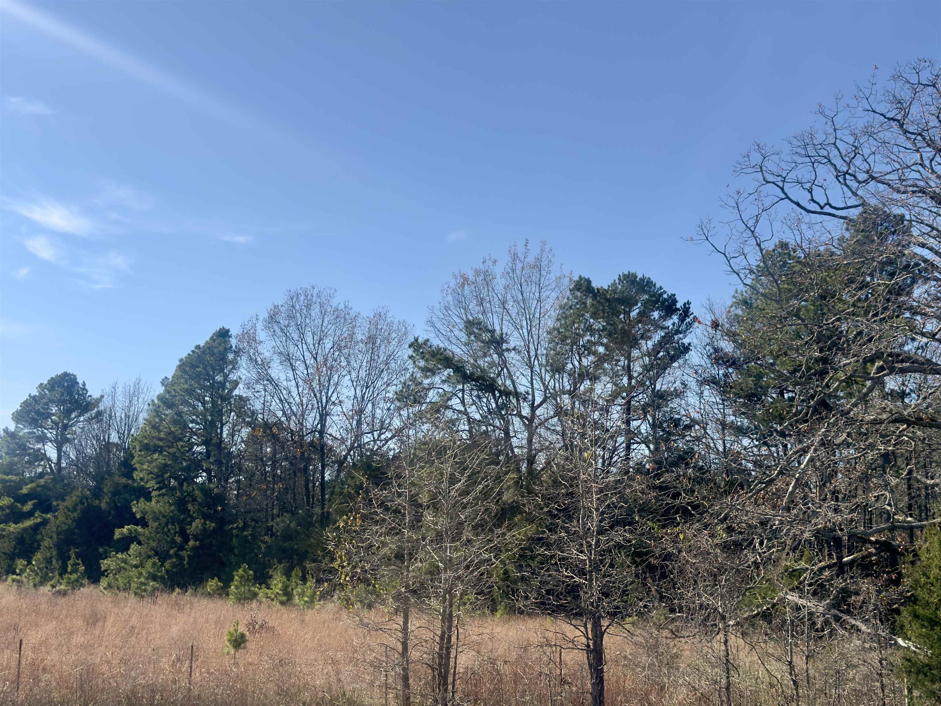 1442 State Hwy 69  Sage, AR