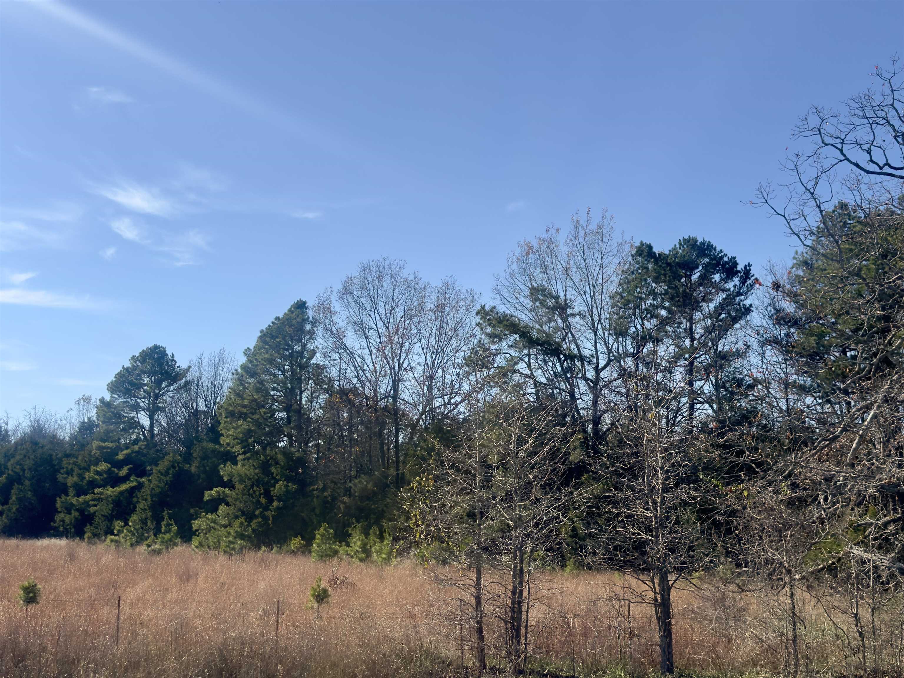 1442 State Hwy 69  Sage, AR