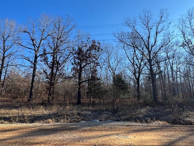 Lot #35 and 50 Onaga  Cherokee Village, AR