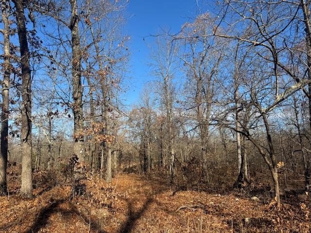 Lot #35 and 50 Onaga  Cherokee Village, AR