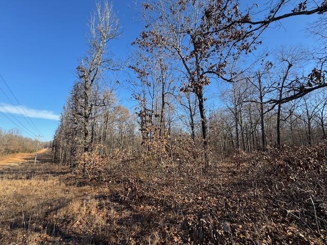 Lot #35 and 50 Onaga  Cherokee Village, AR