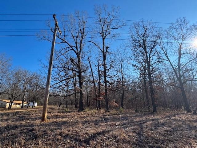 Lot #35 and 50 Onaga  Cherokee Village, AR