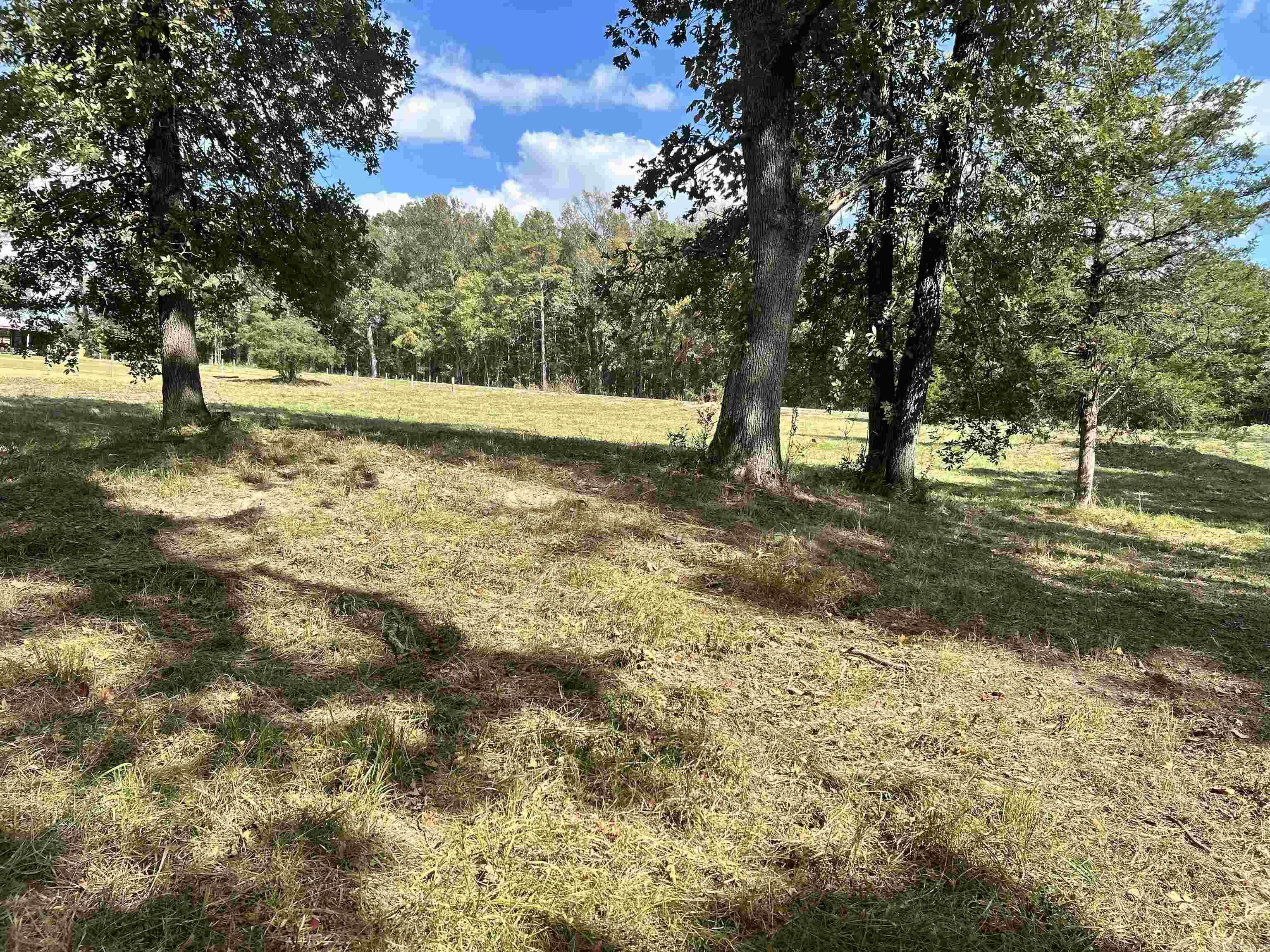 Lot 8 Avilla Manor Subdivision  Alexander, AR