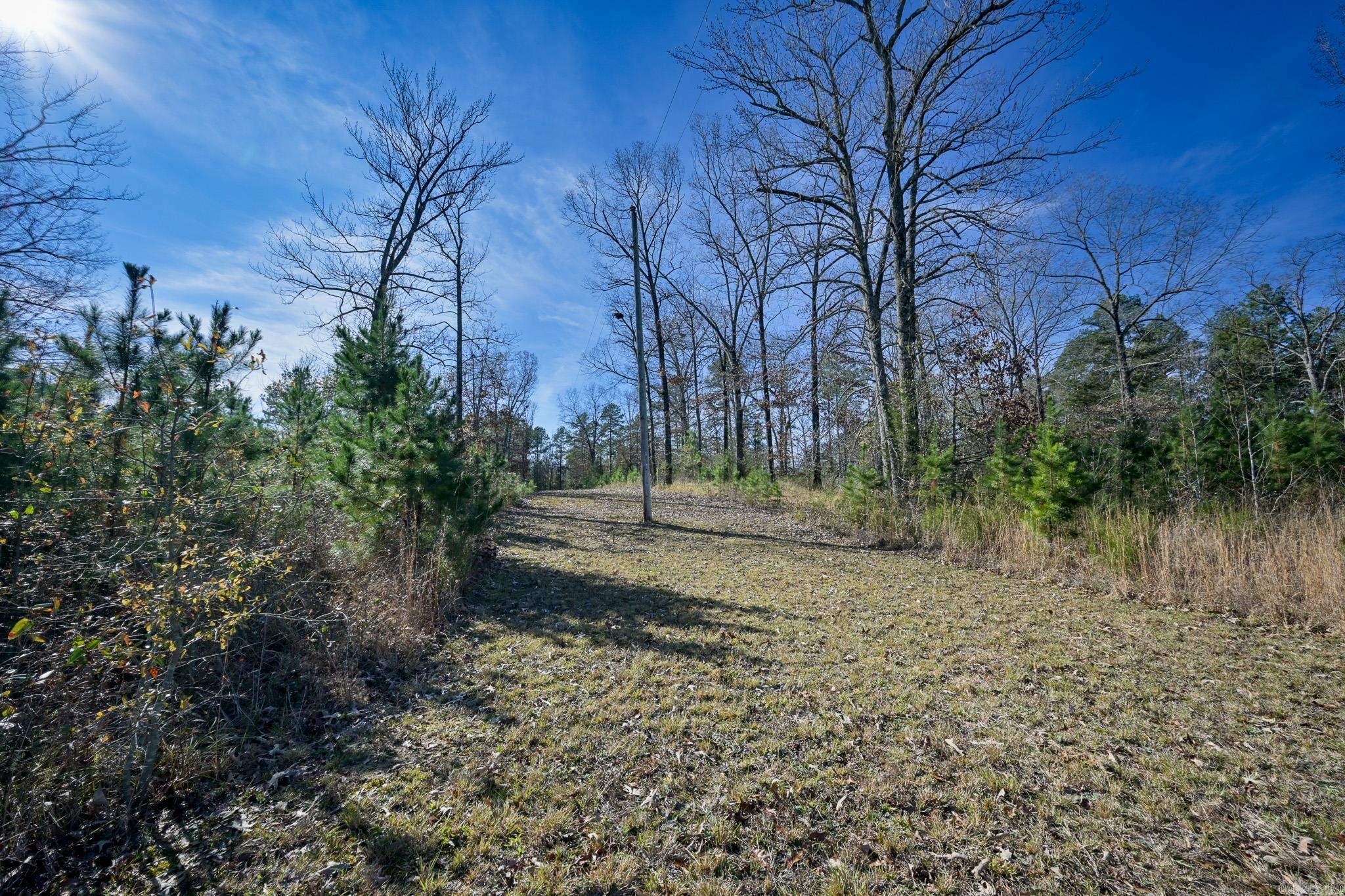 189 Polk Road 171  Mena, AR