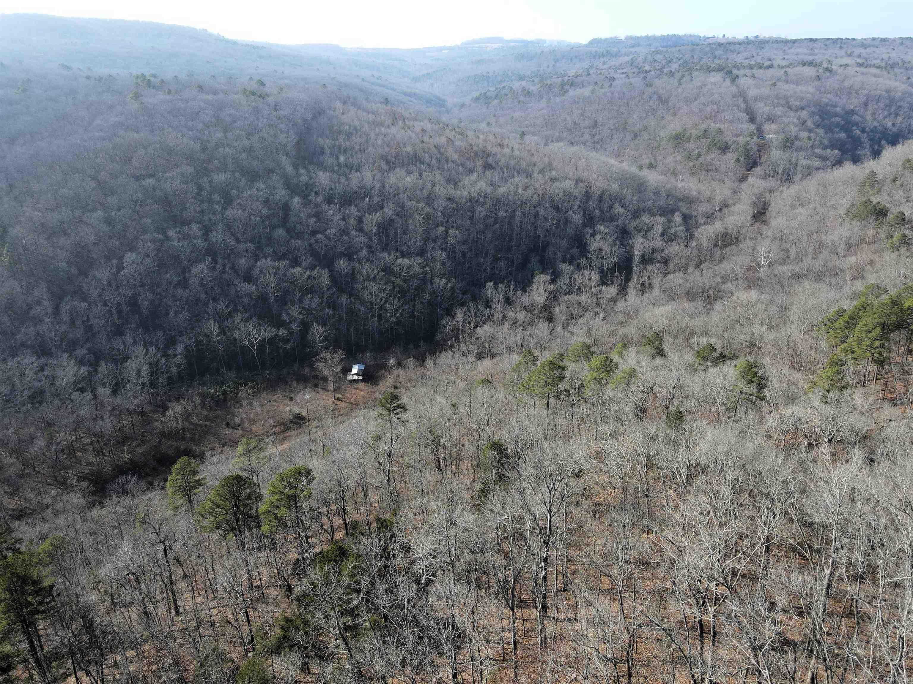 000 Carly  Clinton, AR