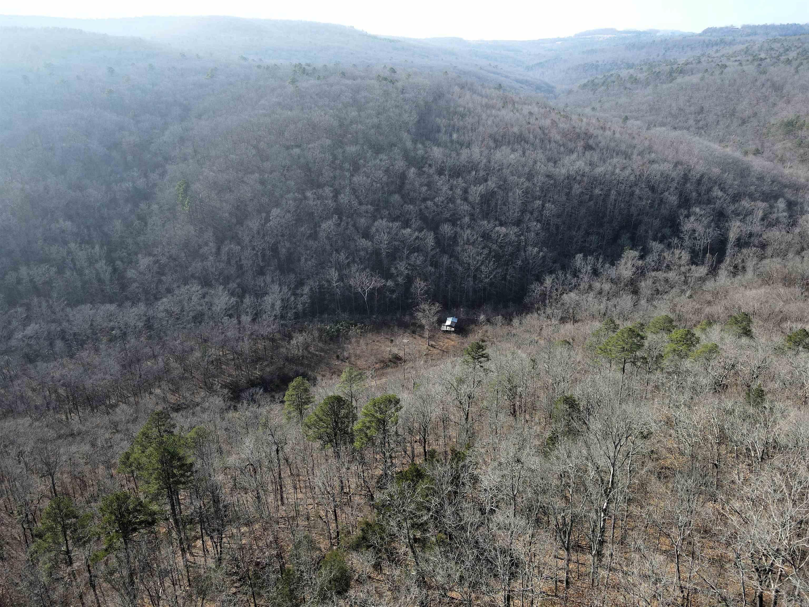 000 Carly  Clinton, AR