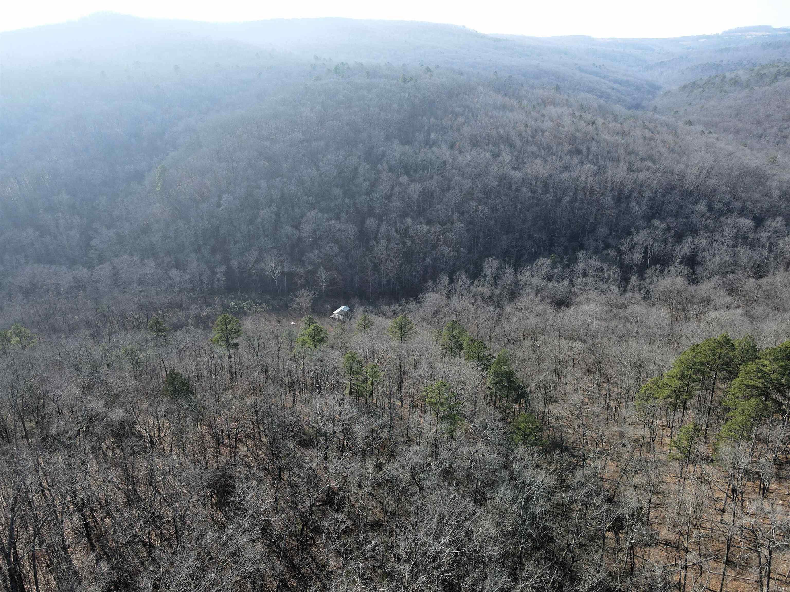 000 Carly  Clinton, AR