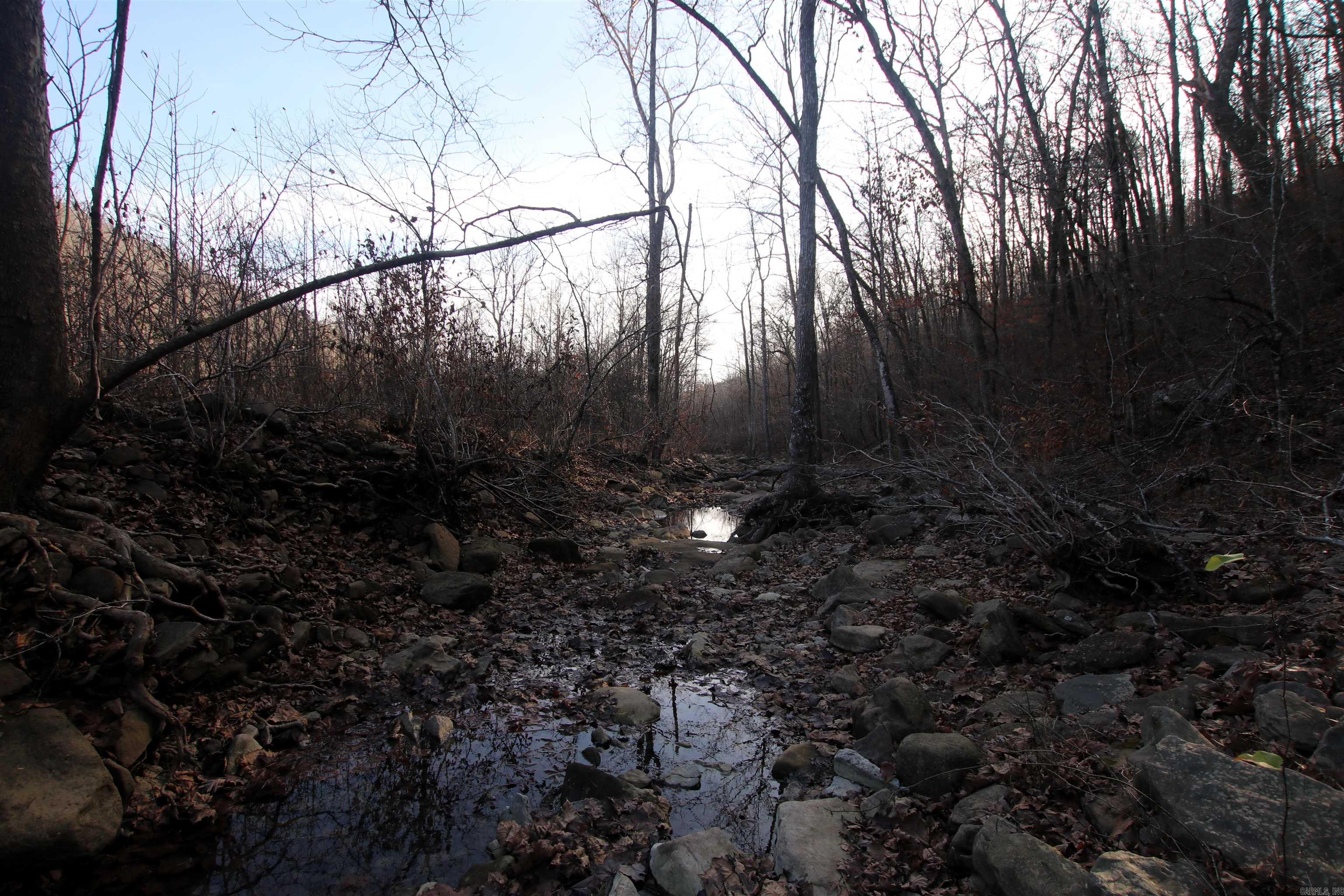 000 Carly  Clinton, AR