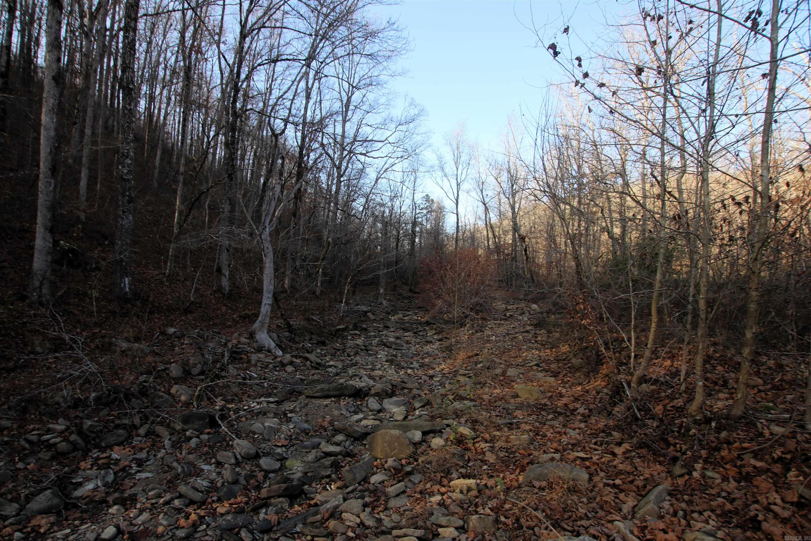 000 Carly  Clinton, AR