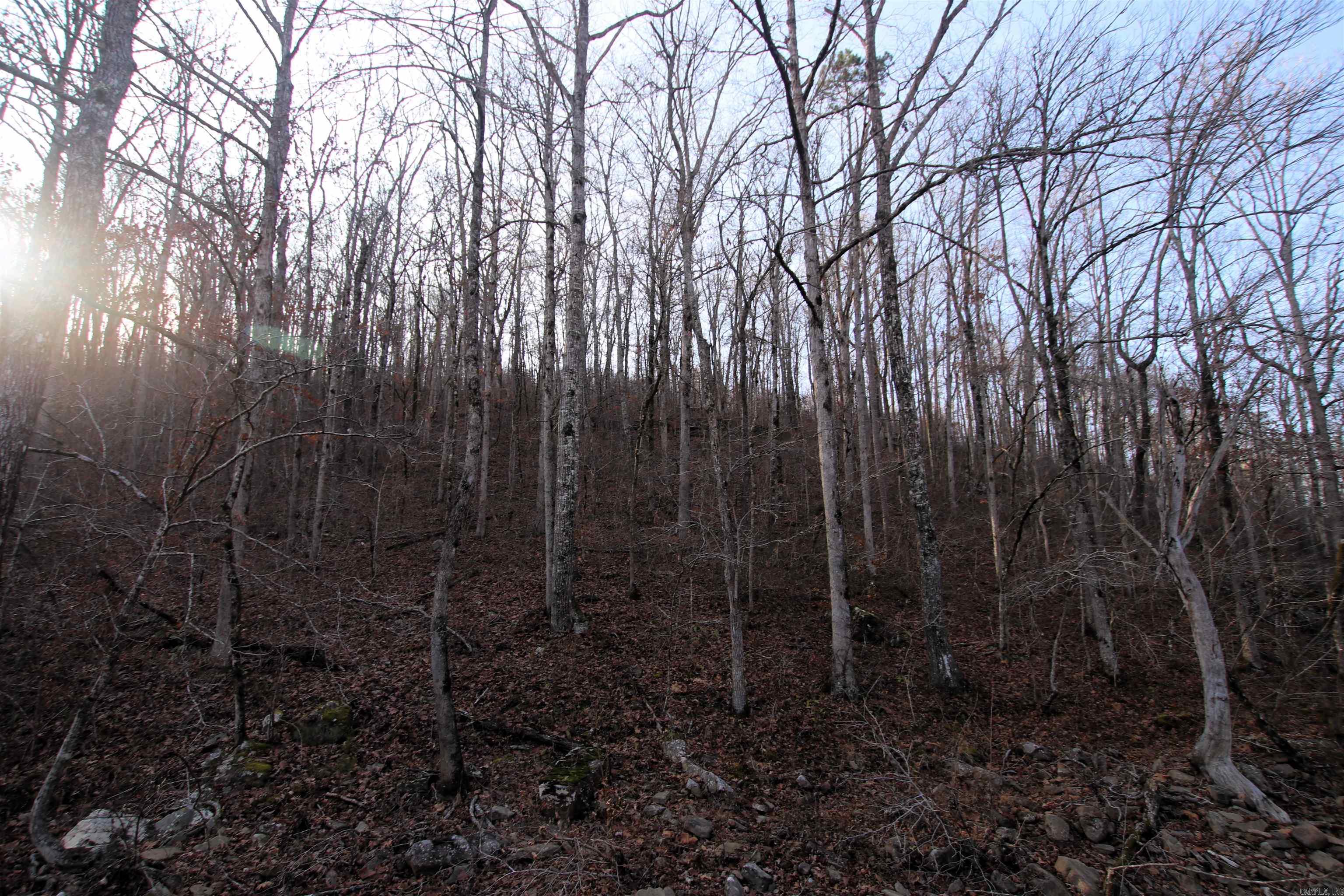 000 Carly  Clinton, AR