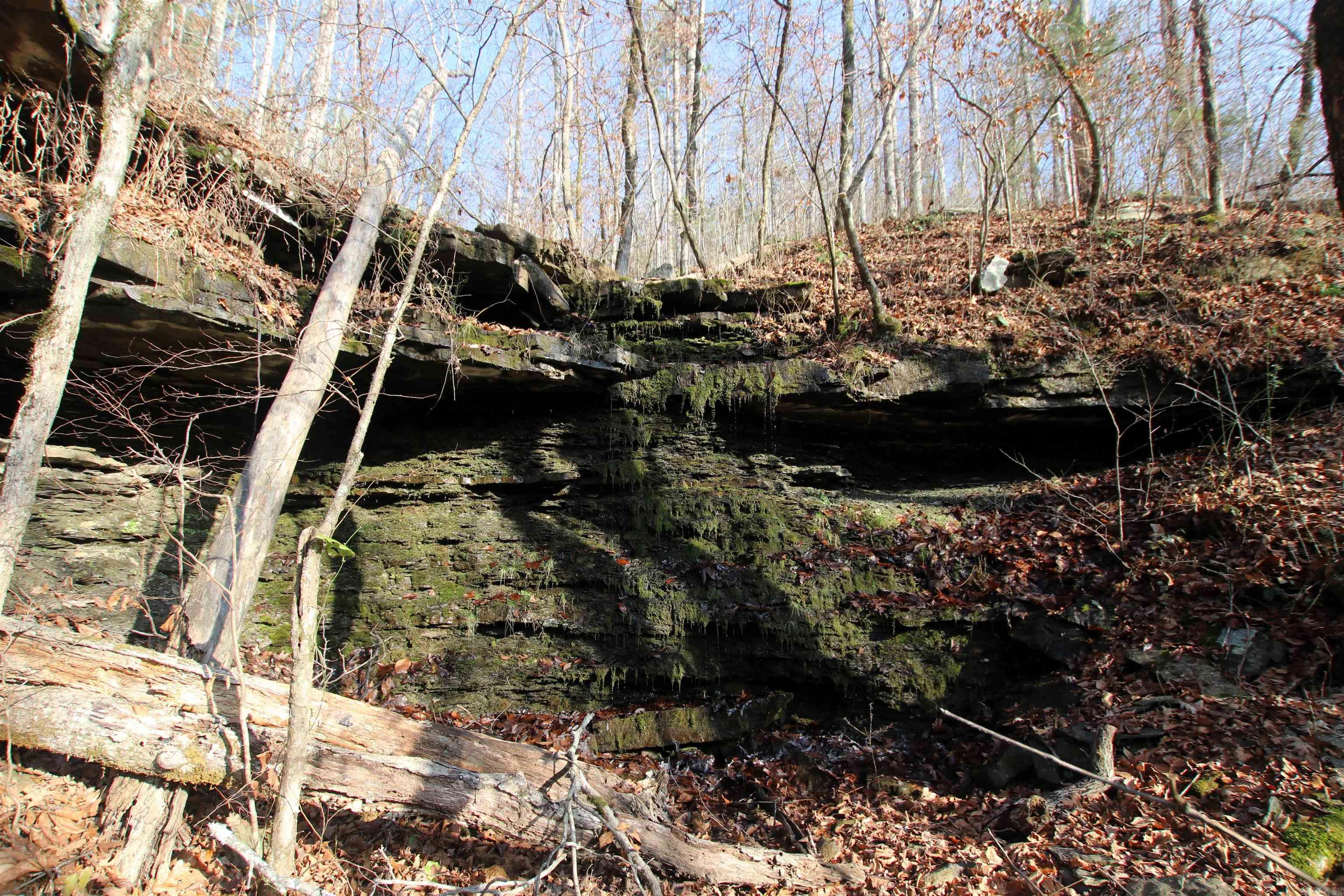 000 Carly  Clinton, AR