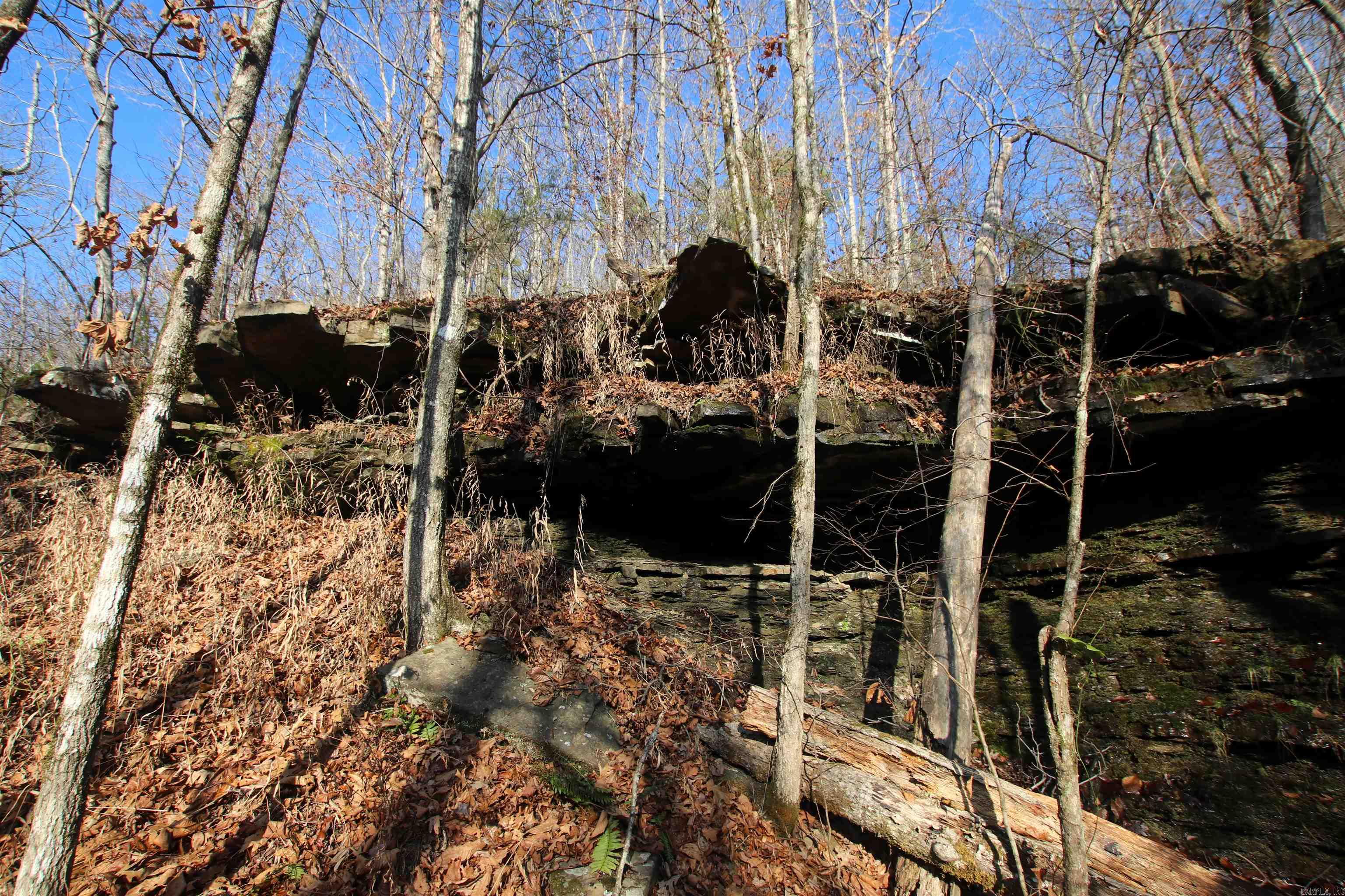 000 Carly  Clinton, AR