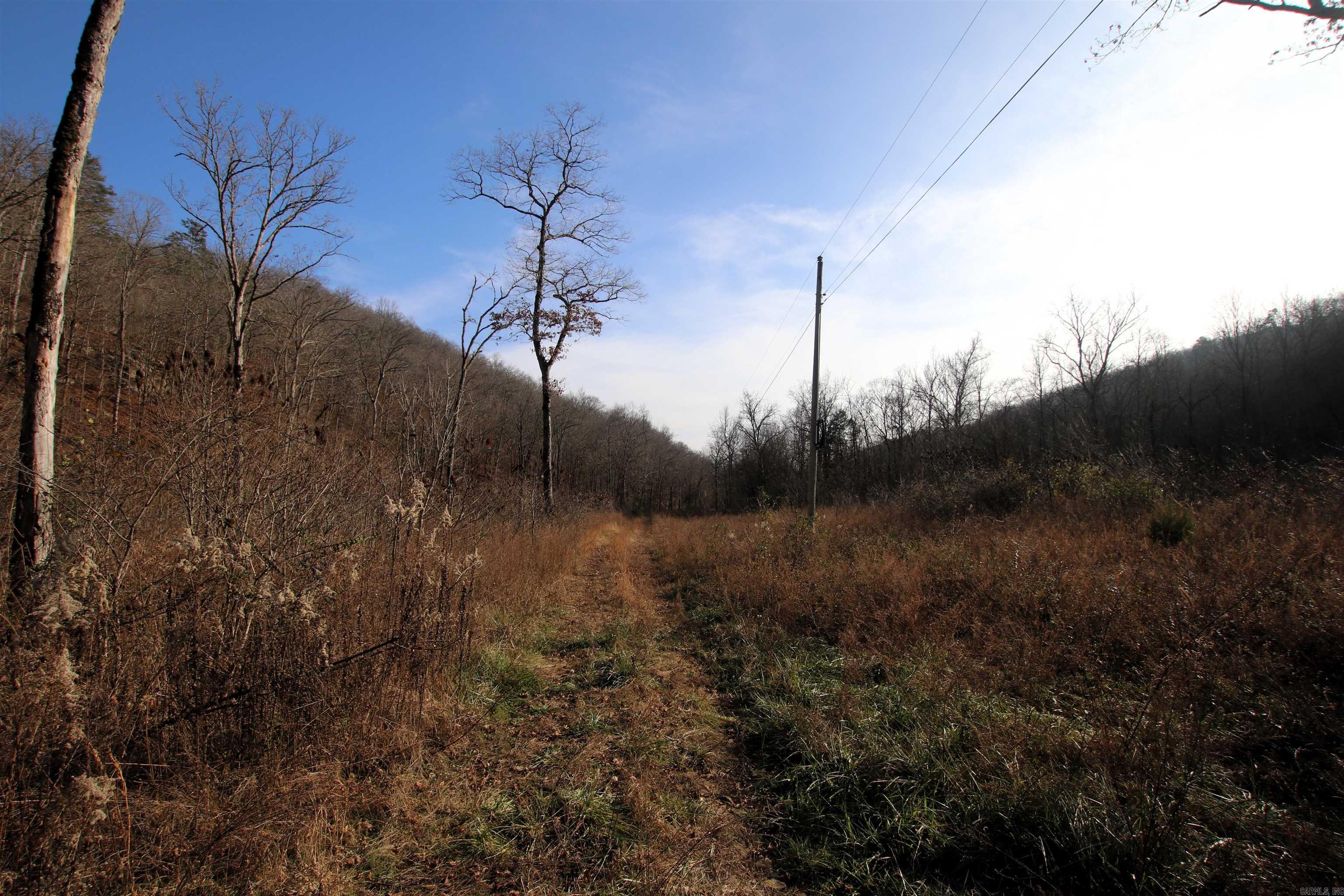 000 Carly  Clinton, AR