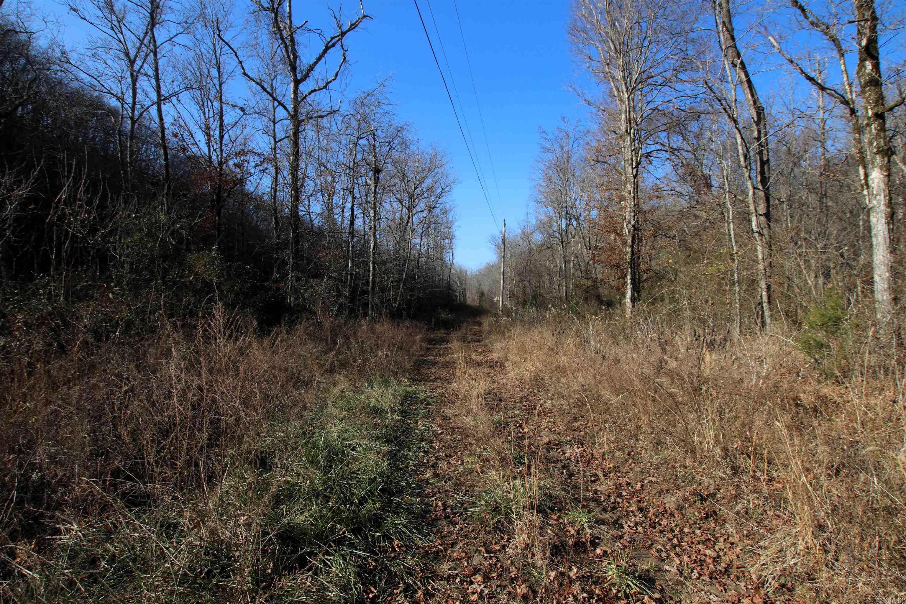 000 Carly  Clinton, AR