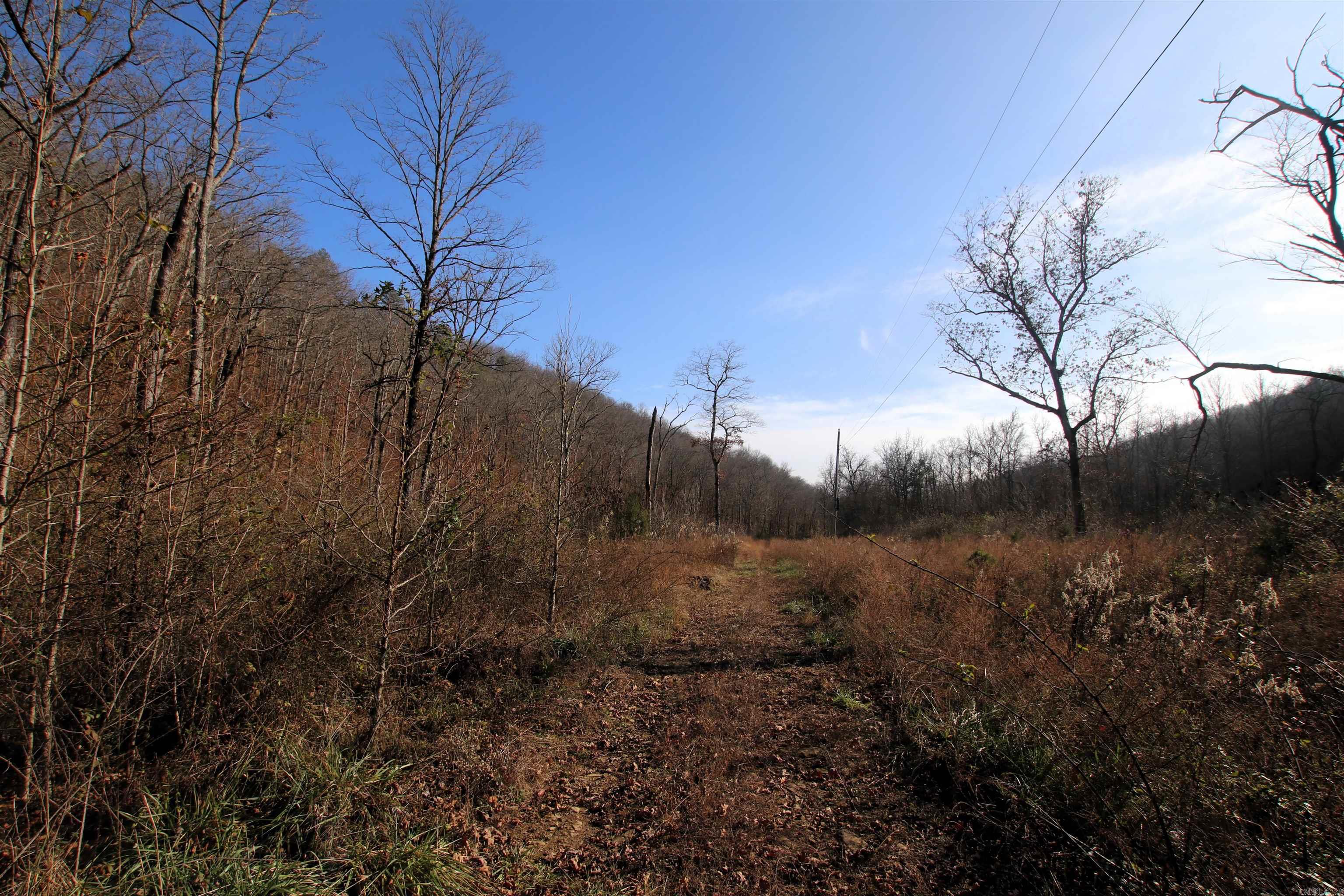 000 Carly  Clinton, AR