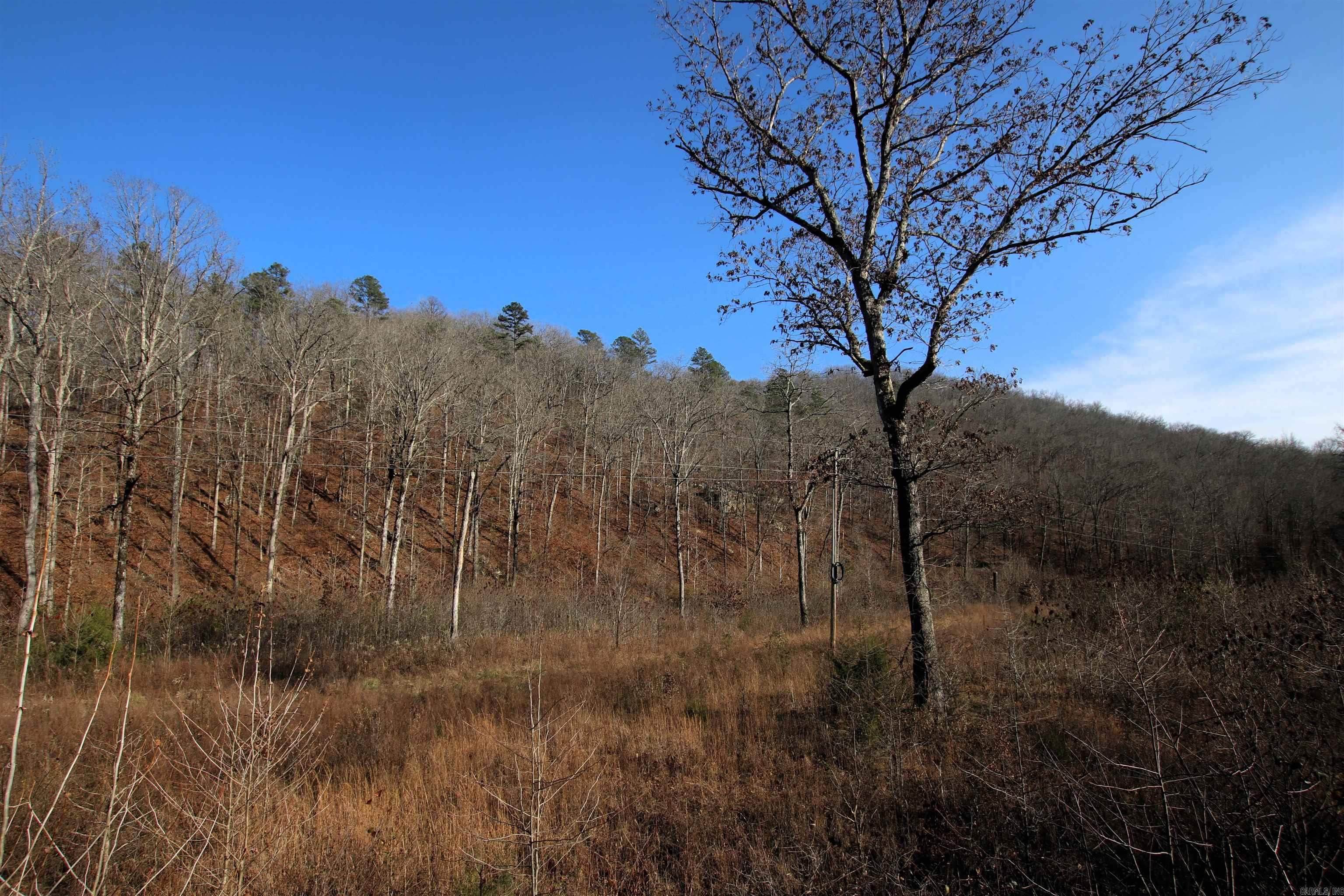 000 Carly  Clinton, AR