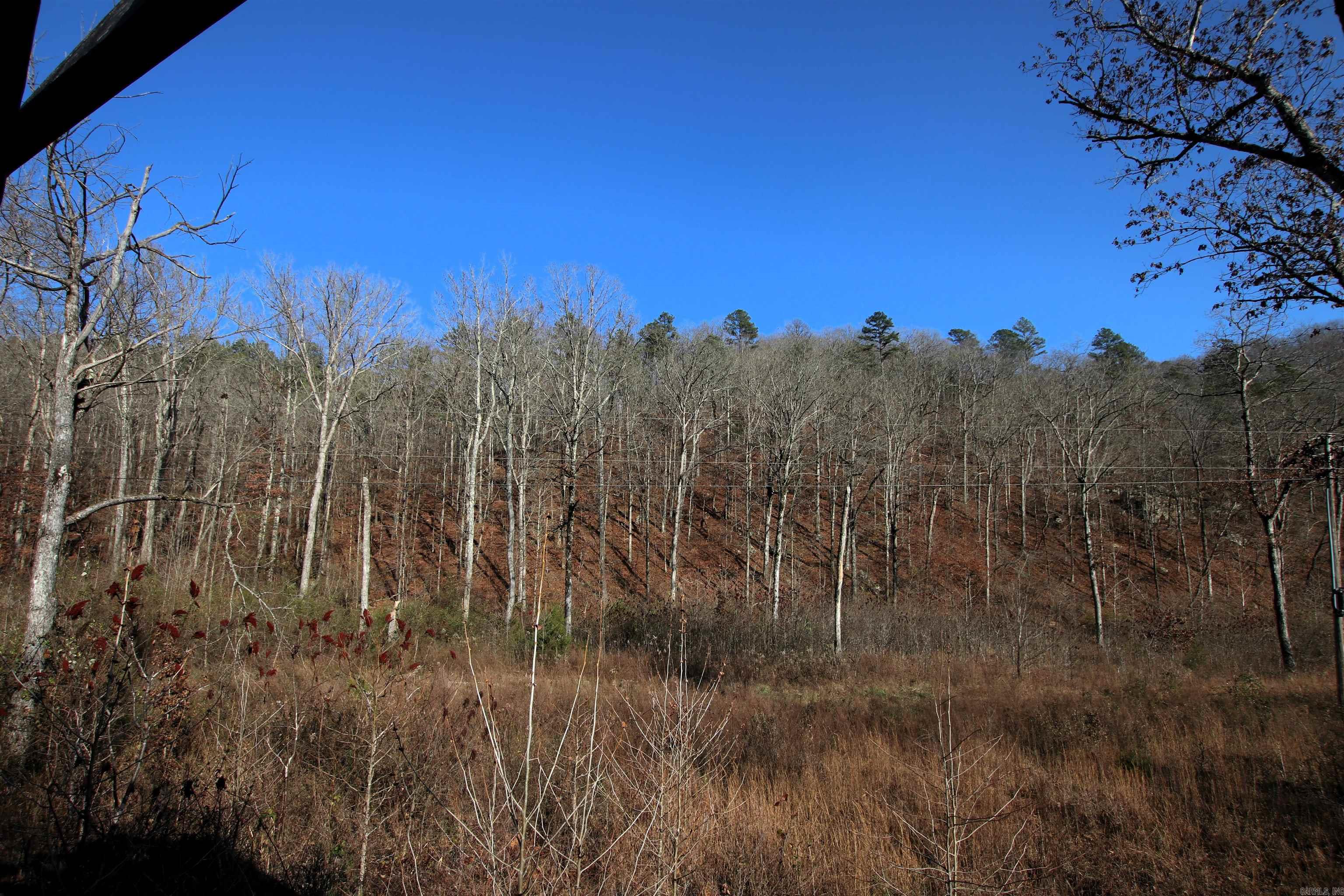 000 Carly  Clinton, AR